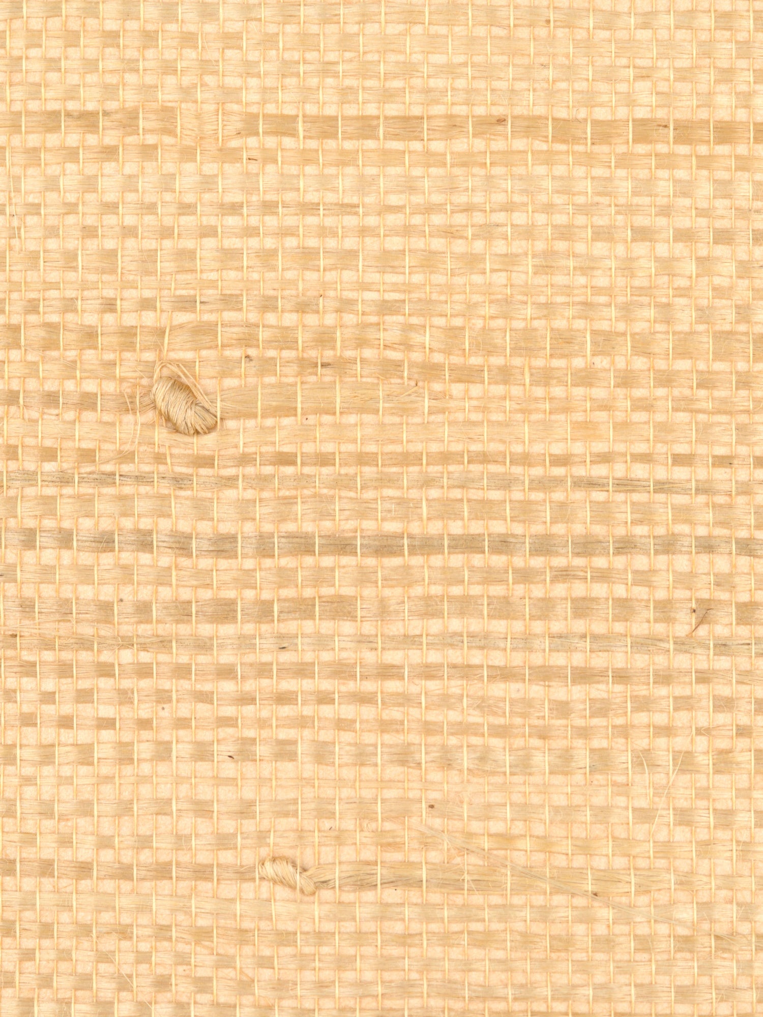 Justin Jute wallpaper in saffron color - pattern number WTW 0419JUST - by Scalamandre in the  collection