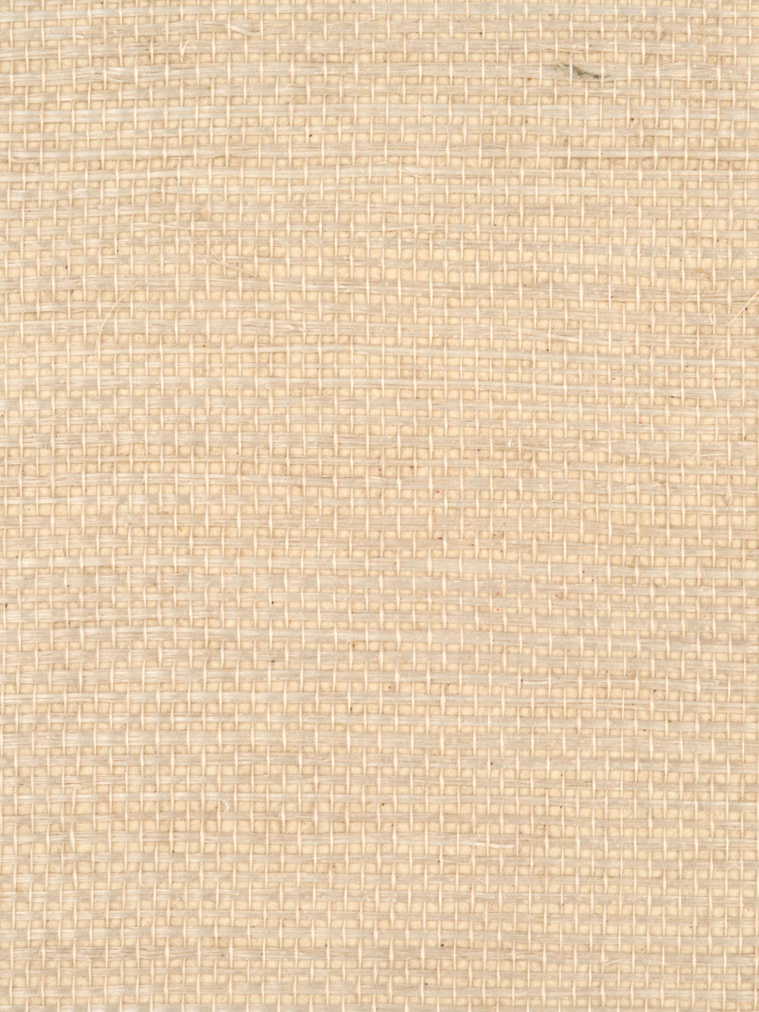 Simply Sisal wallpaper in cream color - pattern number WTW 0421SIMP - by Scalamandre in the  collection