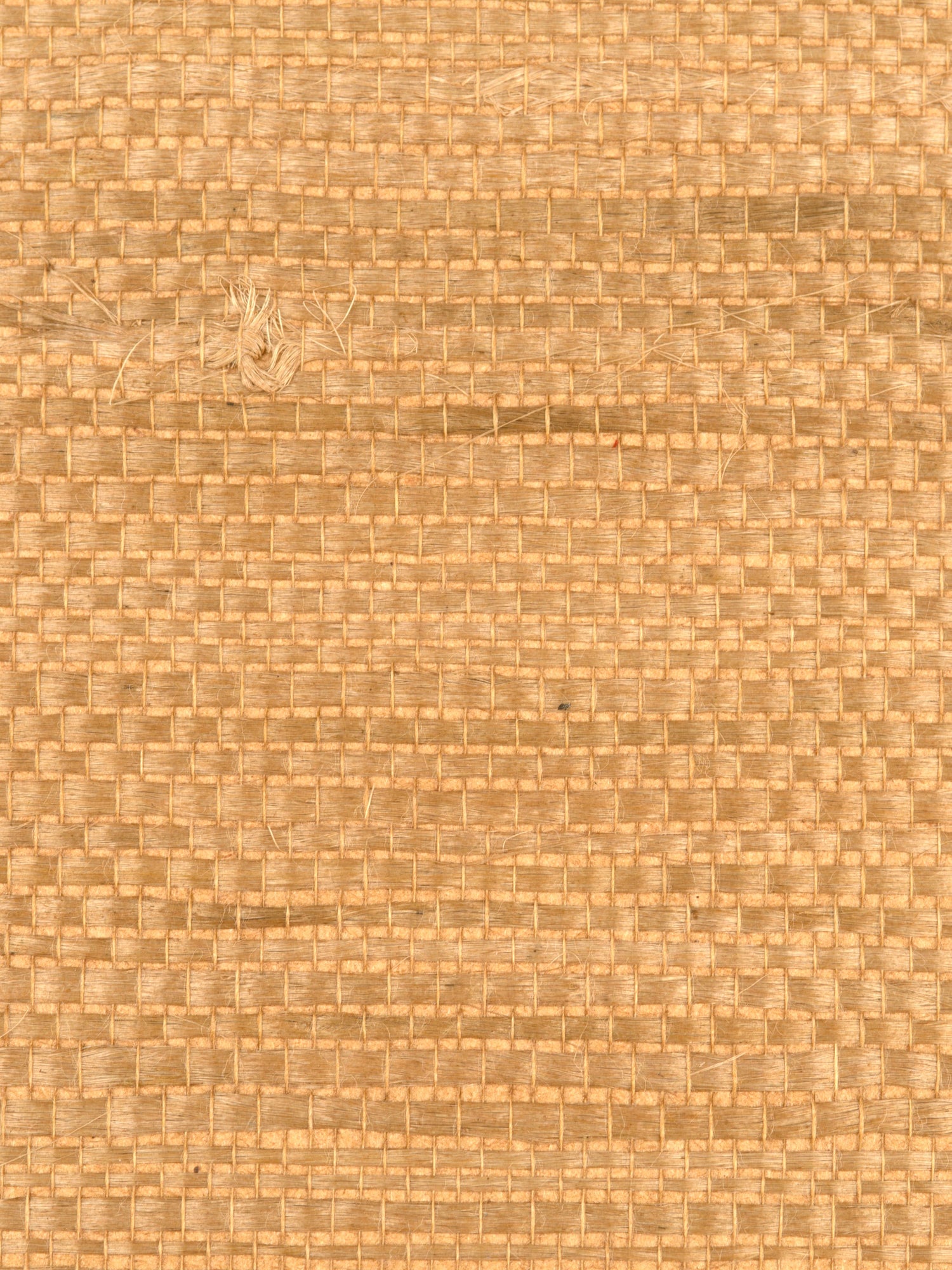 Justin Jute wallpaper in tobacco color - pattern number WTW 0431JUST - by Scalamandre in the  collection