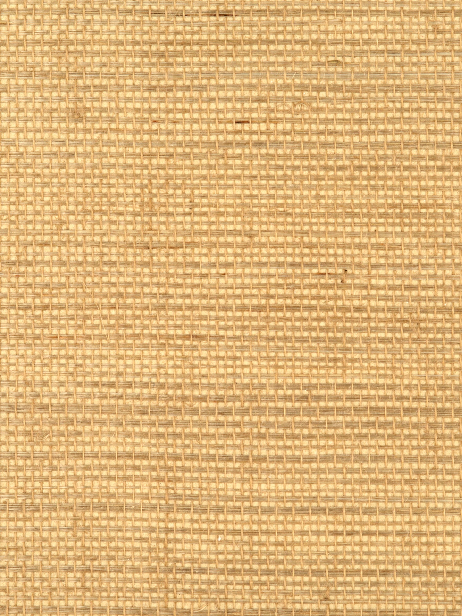 Simply Sisal wallpaper in custard color - pattern number WTW 0435SIMP - by Scalamandre in the  collection