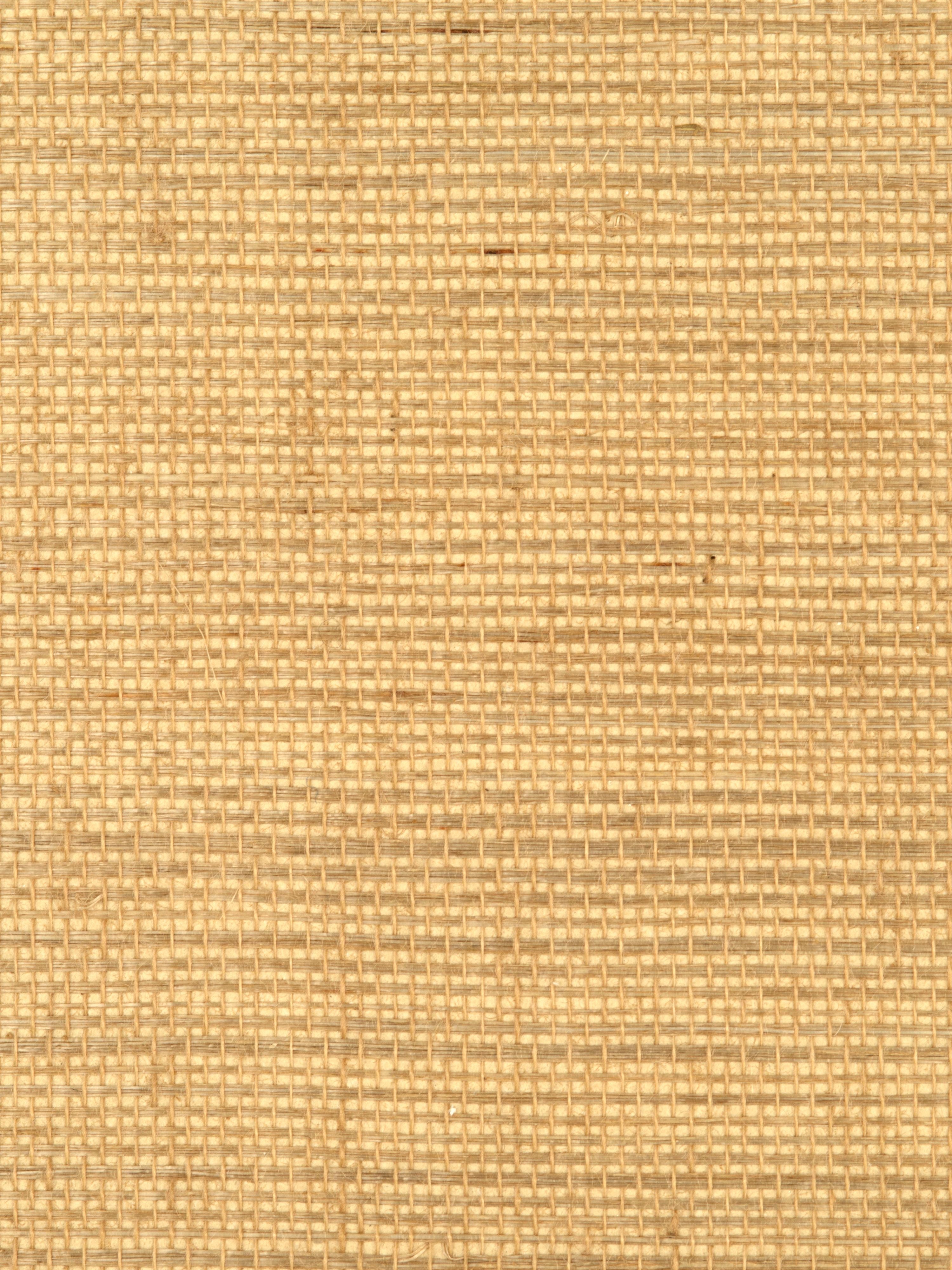 Simply Sisal wallpaper in custard color - pattern number WTW 0435SIMP - by Scalamandre in the  collection