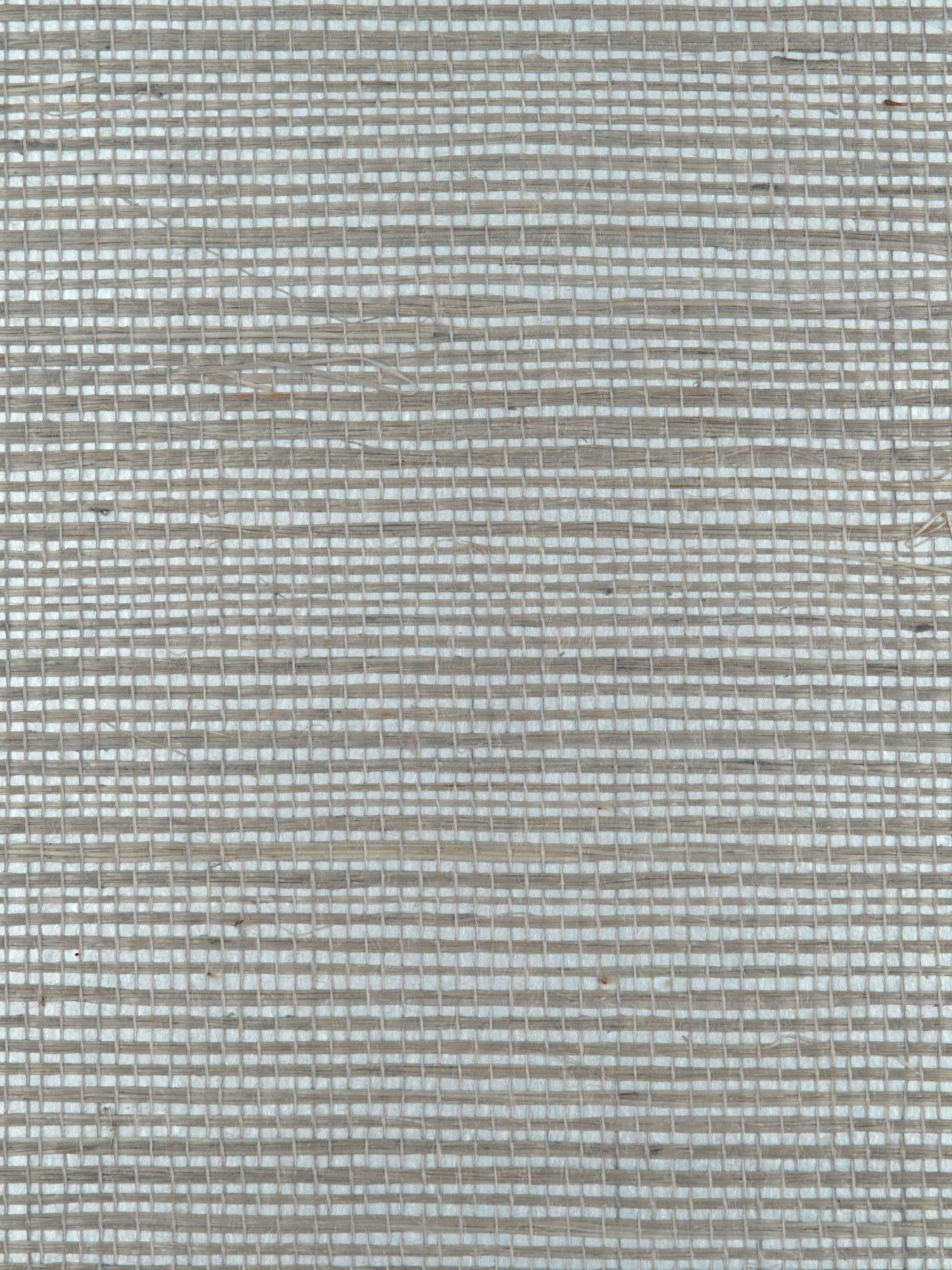 Sultry Sisal wallpaper in silver color - pattern number WTW 0466SUSI - by Scalamandre in the  collection