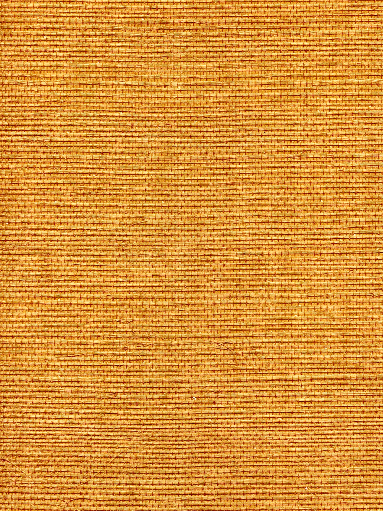 Organic Sisal wallpaper in tuscan color - pattern number WTW GT3901 - by Scalamandre in the  collection