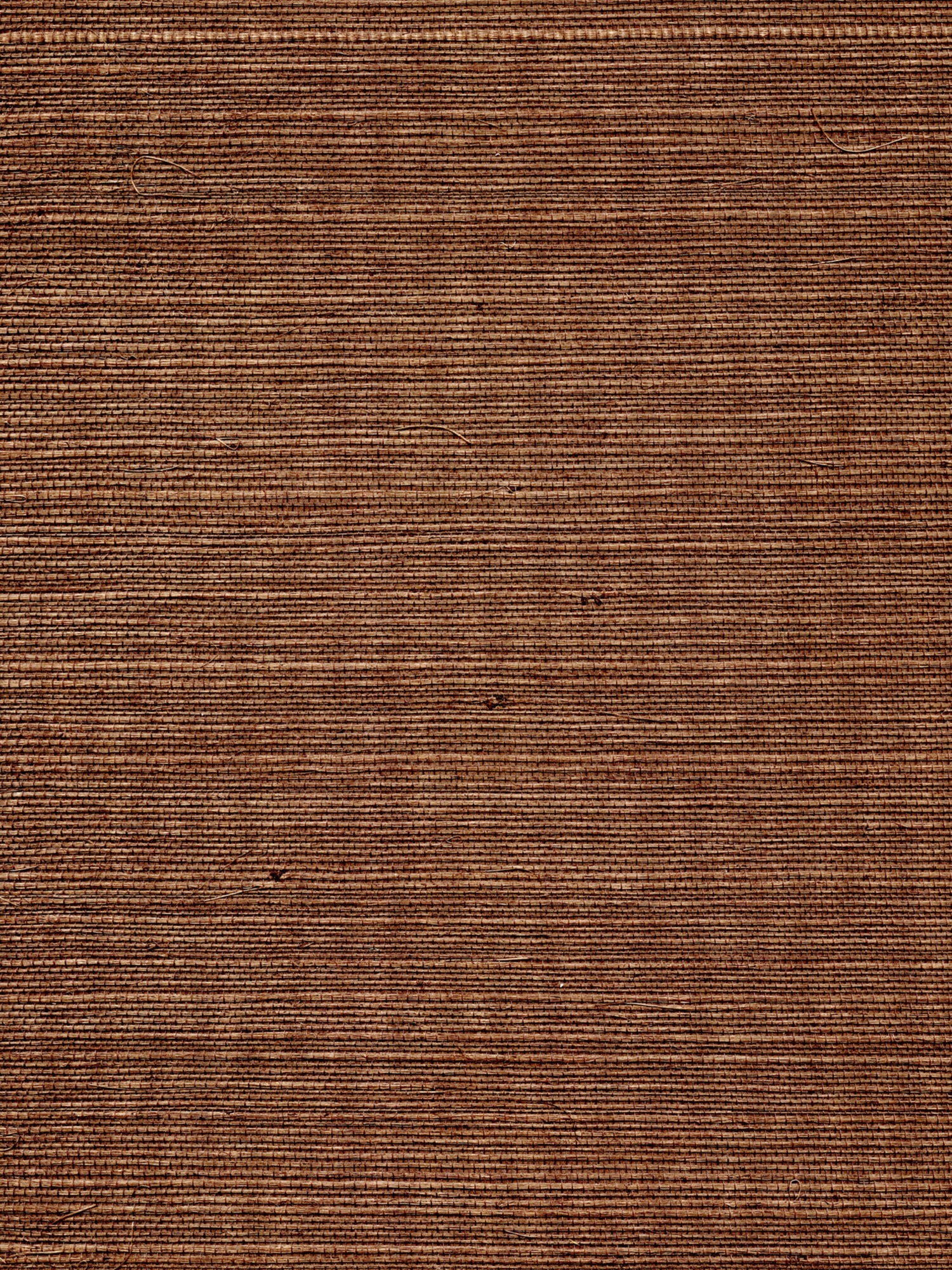 Organic Sisal wallpaper in brush color - pattern number WTW GT3906 - by Scalamandre in the  collection