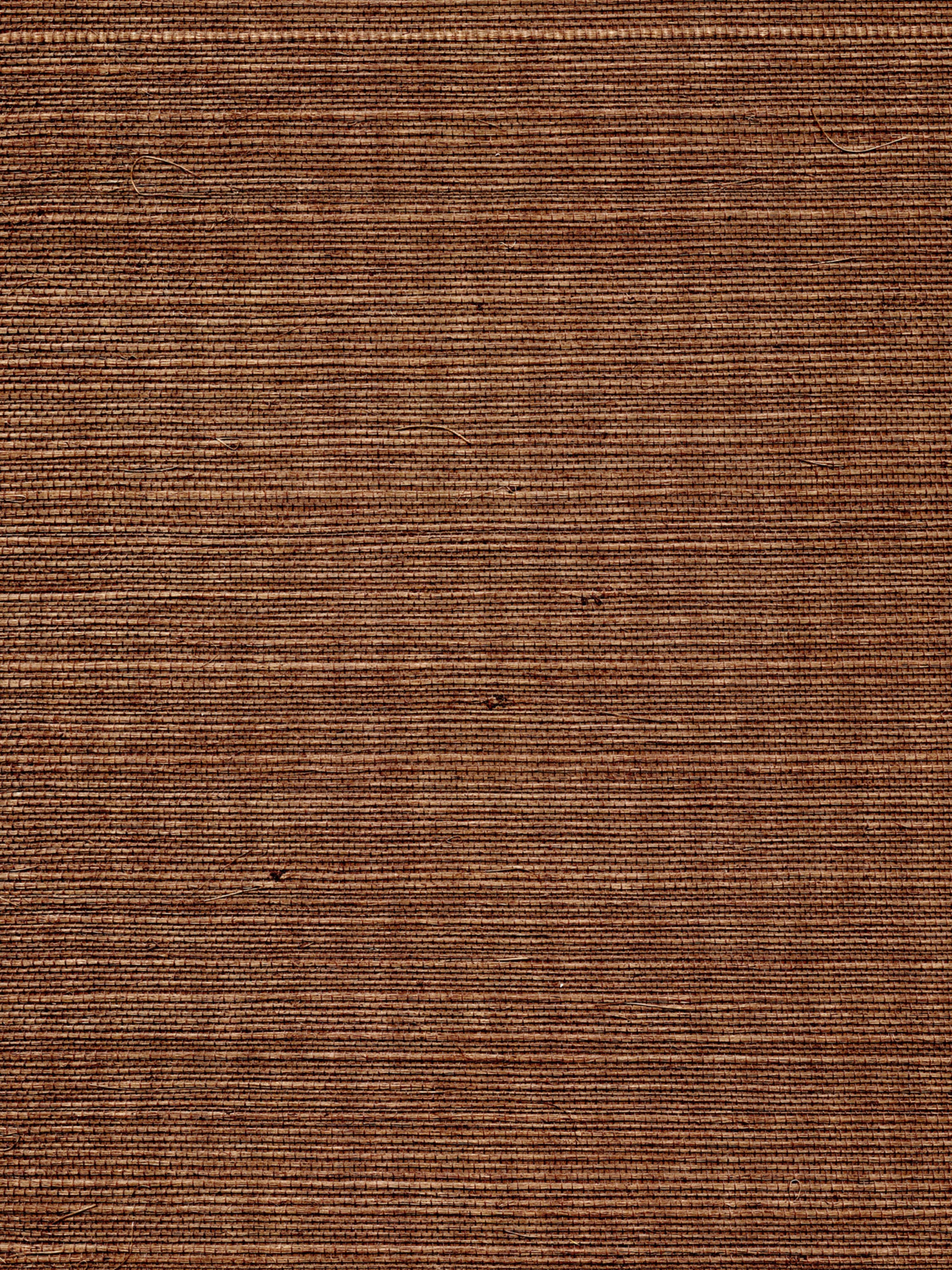 Organic Sisal wallpaper in brush color - pattern number WTW GT3906 - by Scalamandre in the  collection