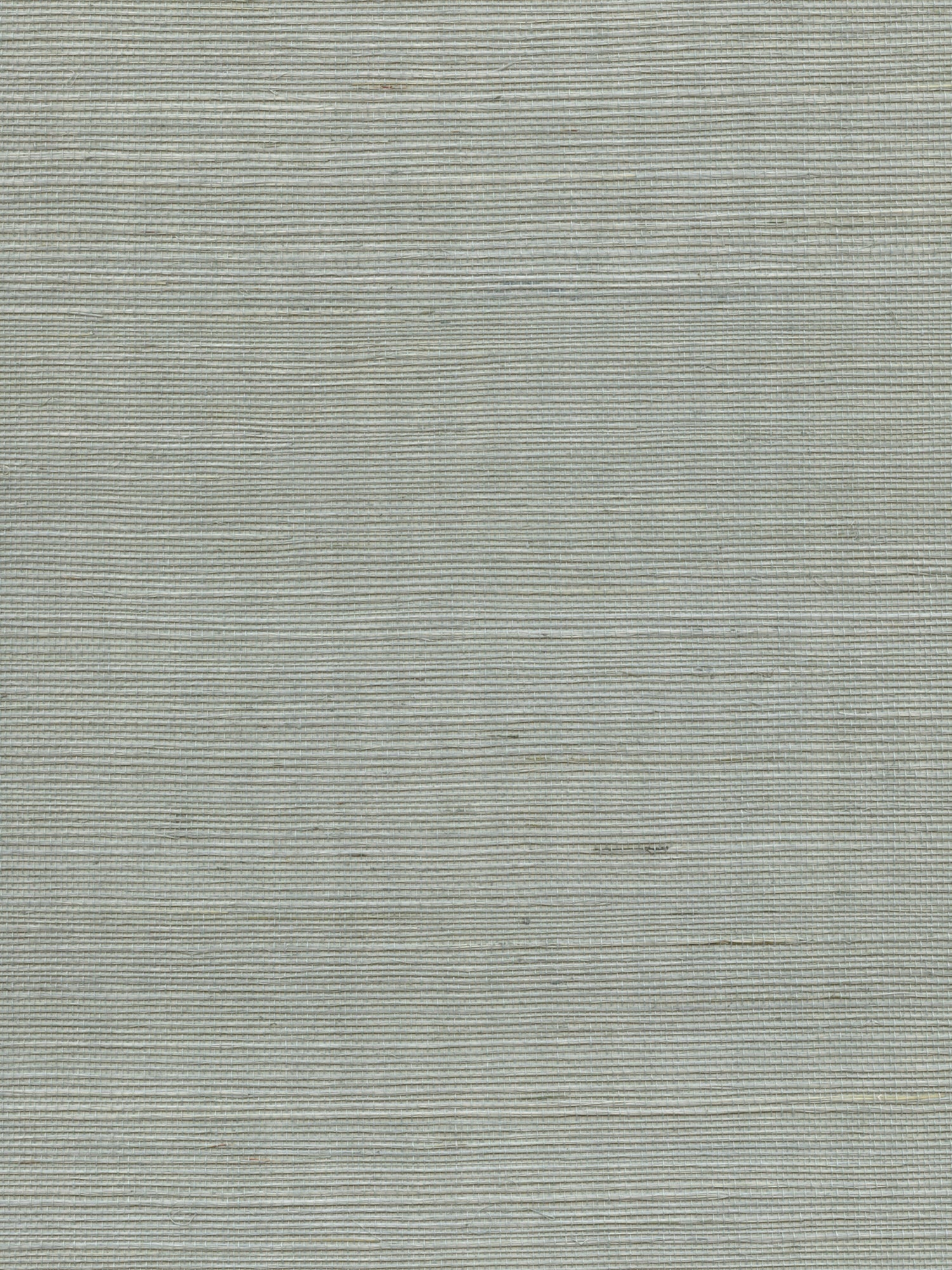 Organic Sisal wallpaper in spa color - pattern number WTW GT3925 - by Scalamandre in the  collection