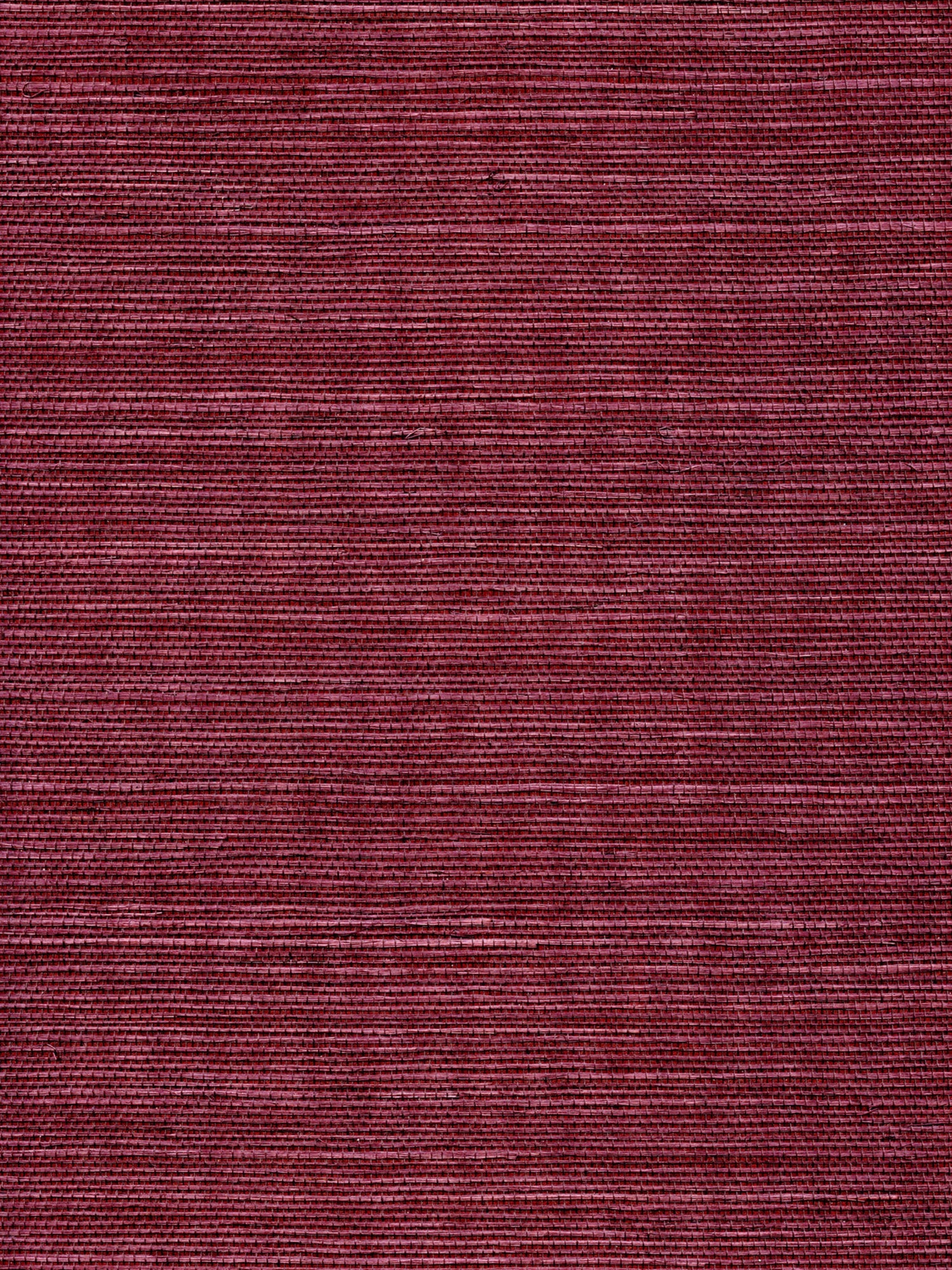 Organic Sisal wallpaper in luscious color - pattern number WTW GT3930 - by Scalamandre in the  collection