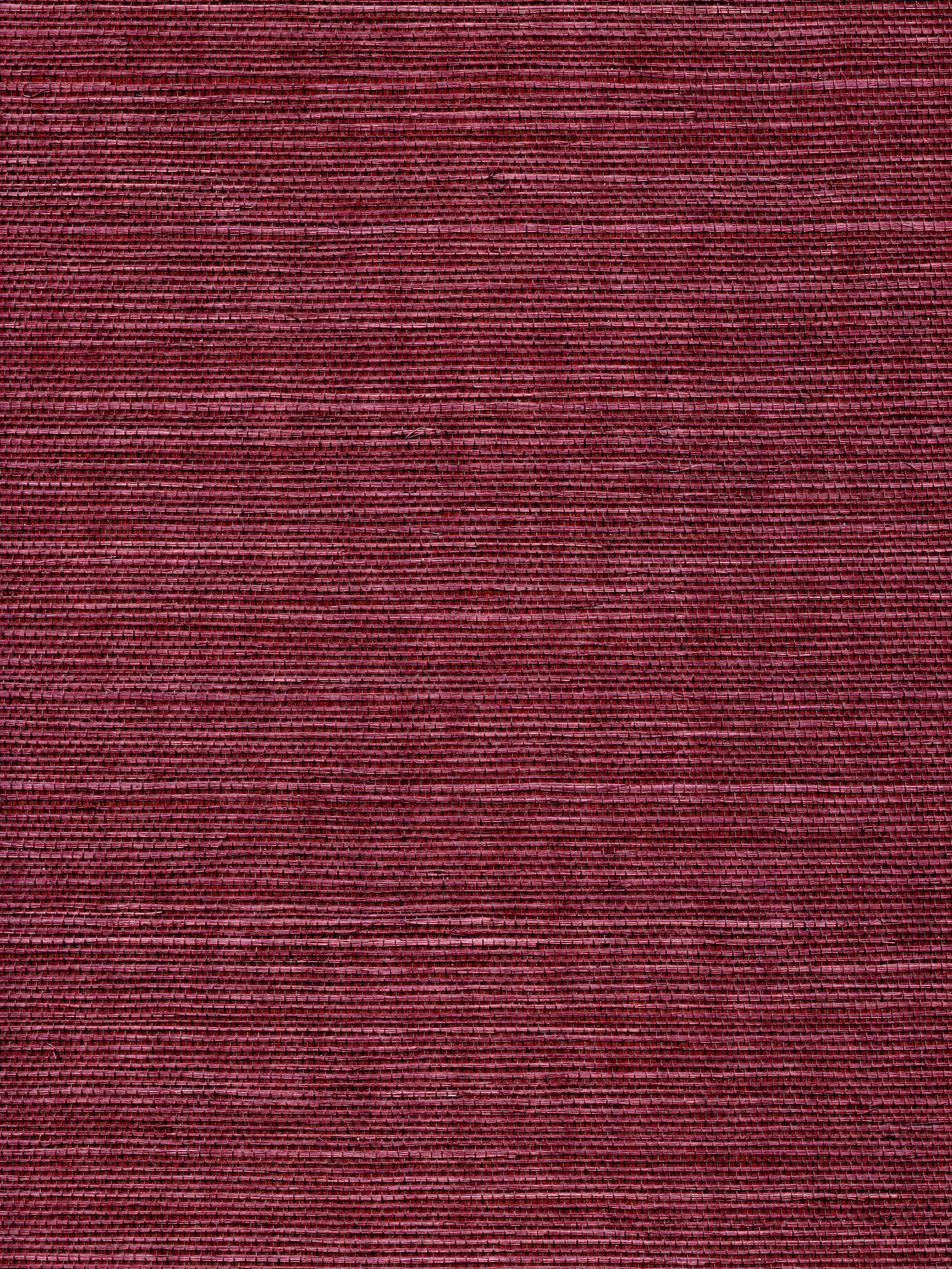 Organic Sisal wallpaper in luscious color - pattern number WTW GT3930 - by Scalamandre in the  collection