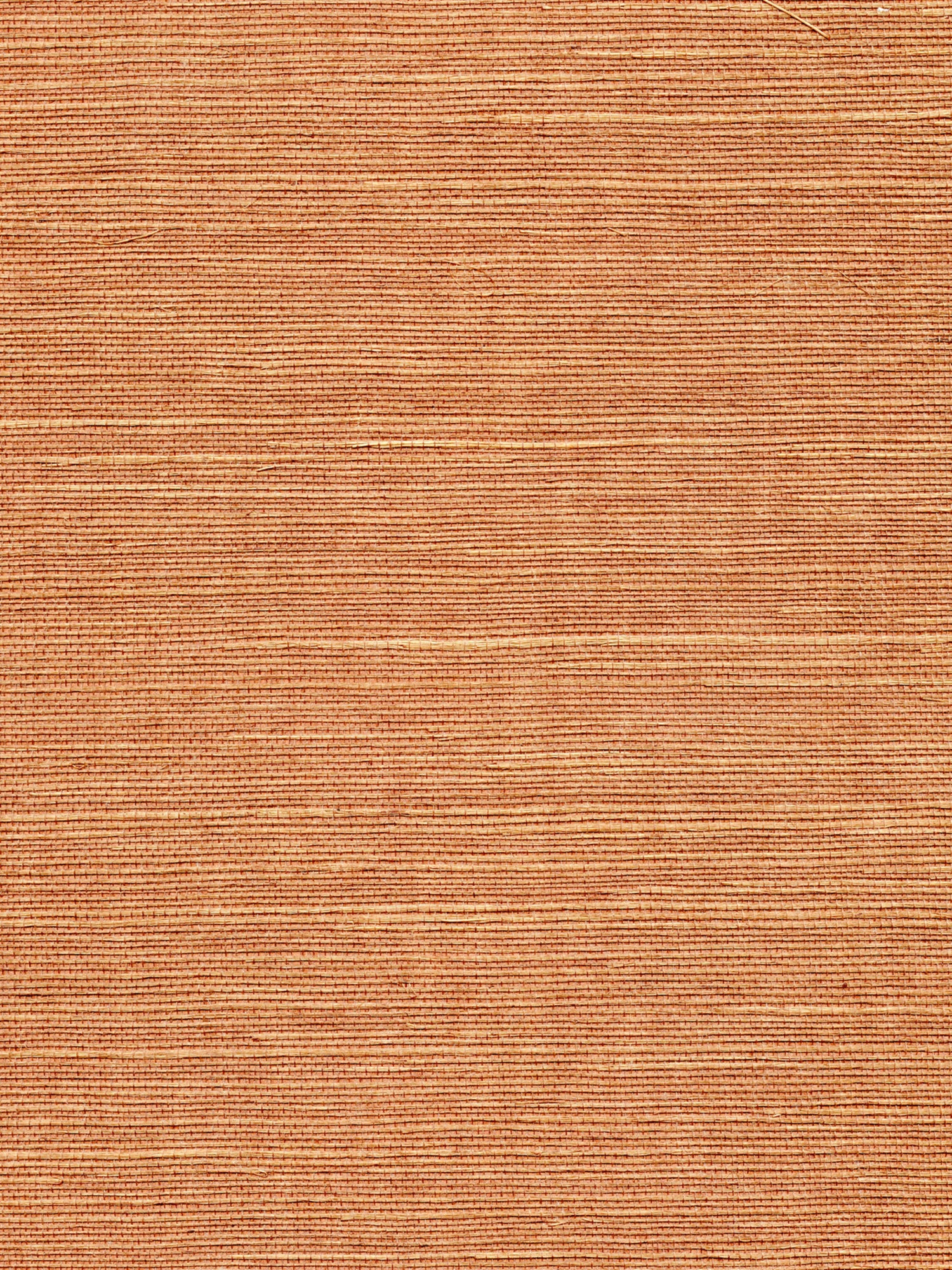 Organic Sisal wallpaper in java color - pattern number WTW GT3934 - by Scalamandre in the  collection
