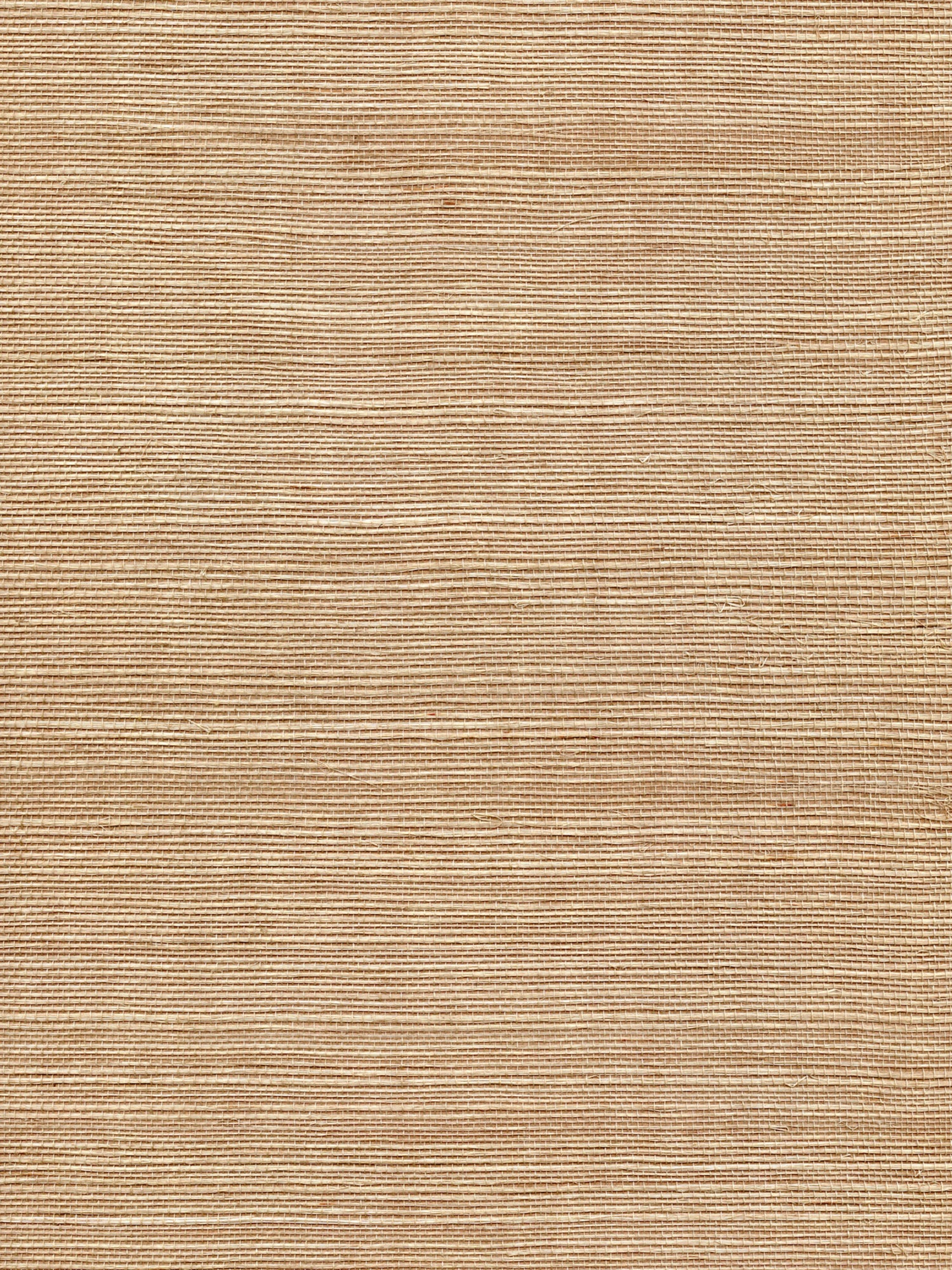 Organic Sisal wallpaper in mink color - pattern number WTW GT3941 - by Scalamandre in the  collection