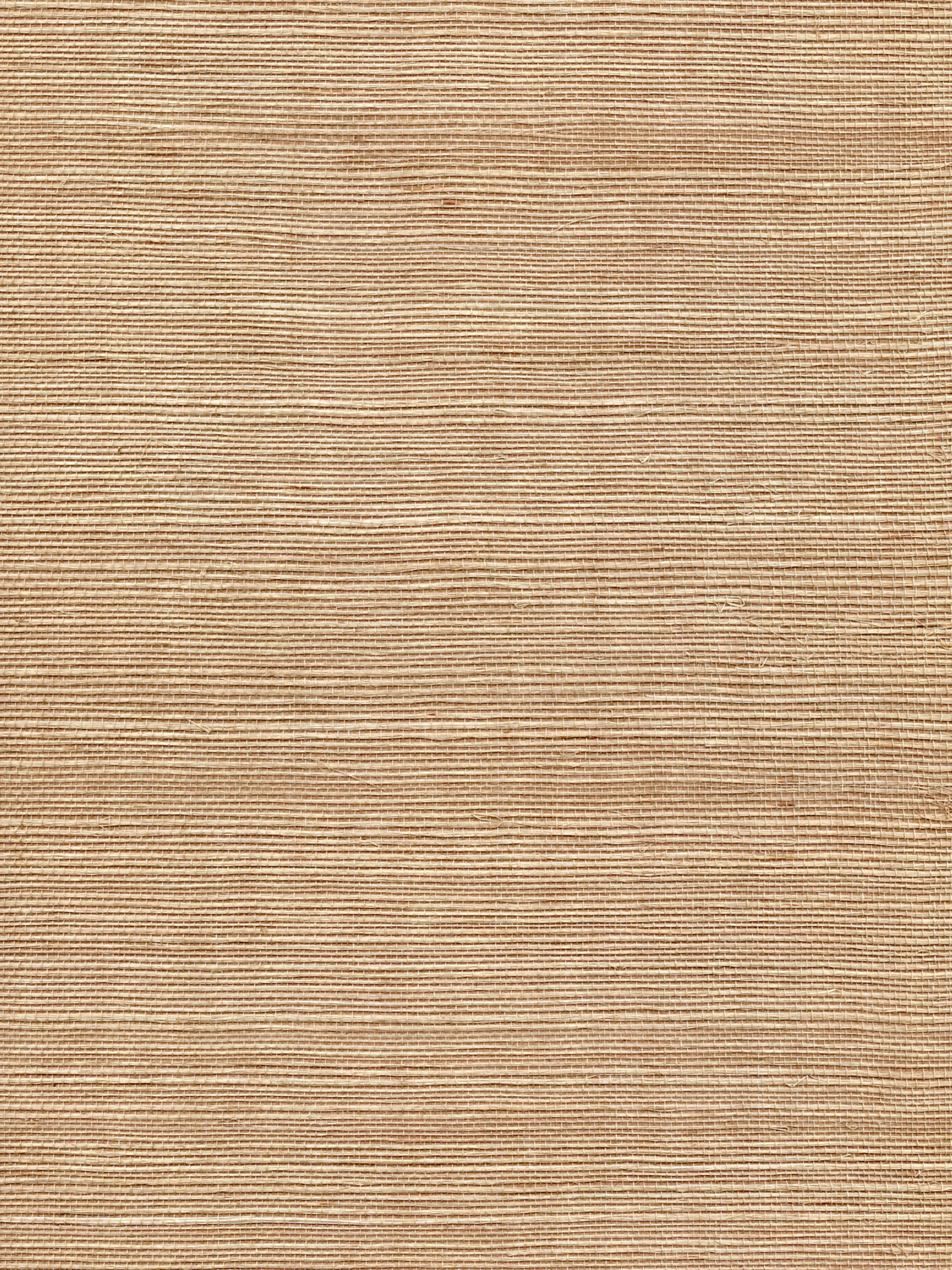 Organic Sisal wallpaper in mink color - pattern number WTW GT3941 - by Scalamandre in the  collection