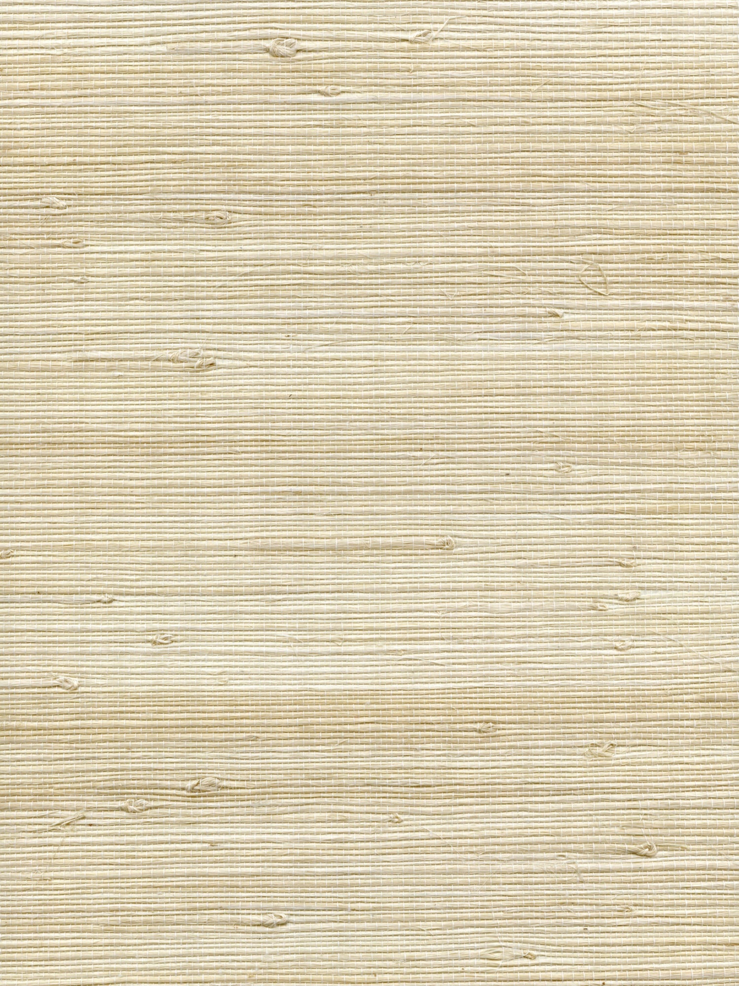 Organic Jute wallpaper in breeze color - pattern number WTW GT3948 - by Scalamandre in the  collection