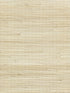 Organic Jute wallpaper in breeze color - pattern number WTW GT3948 - by Scalamandre in the  collection