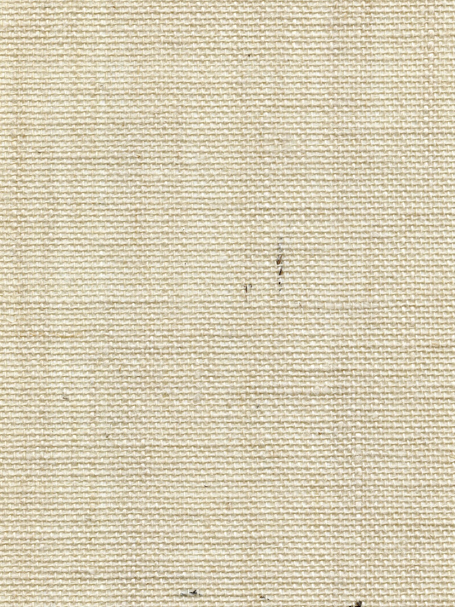Organic Burlap fabric in cloud color - pattern number WTW GT3949 - by Scalamandre in the  collection