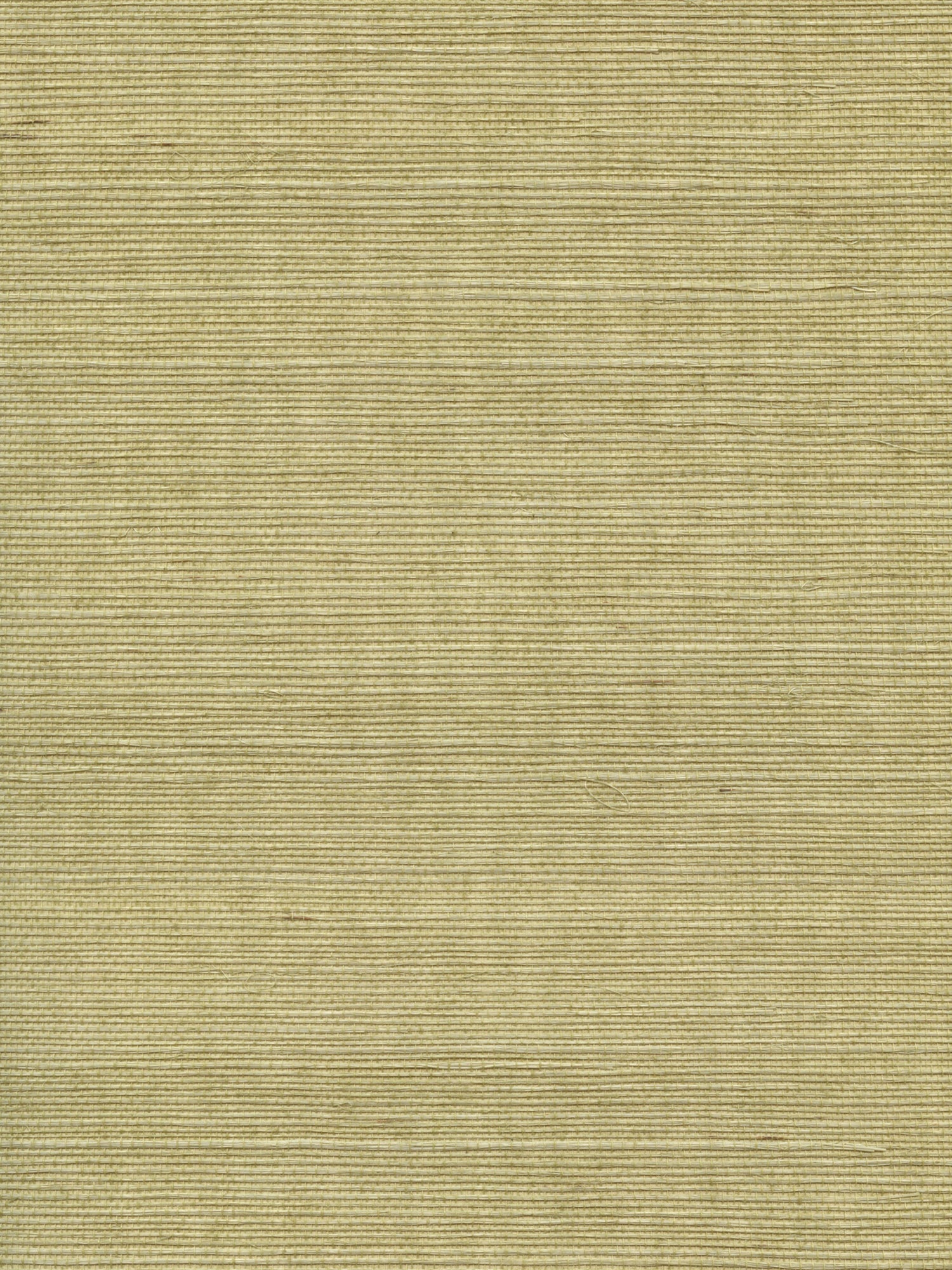 Organic Sisal wallpaper in springtime color - pattern number WTW GT3951 - by Scalamandre in the  collection