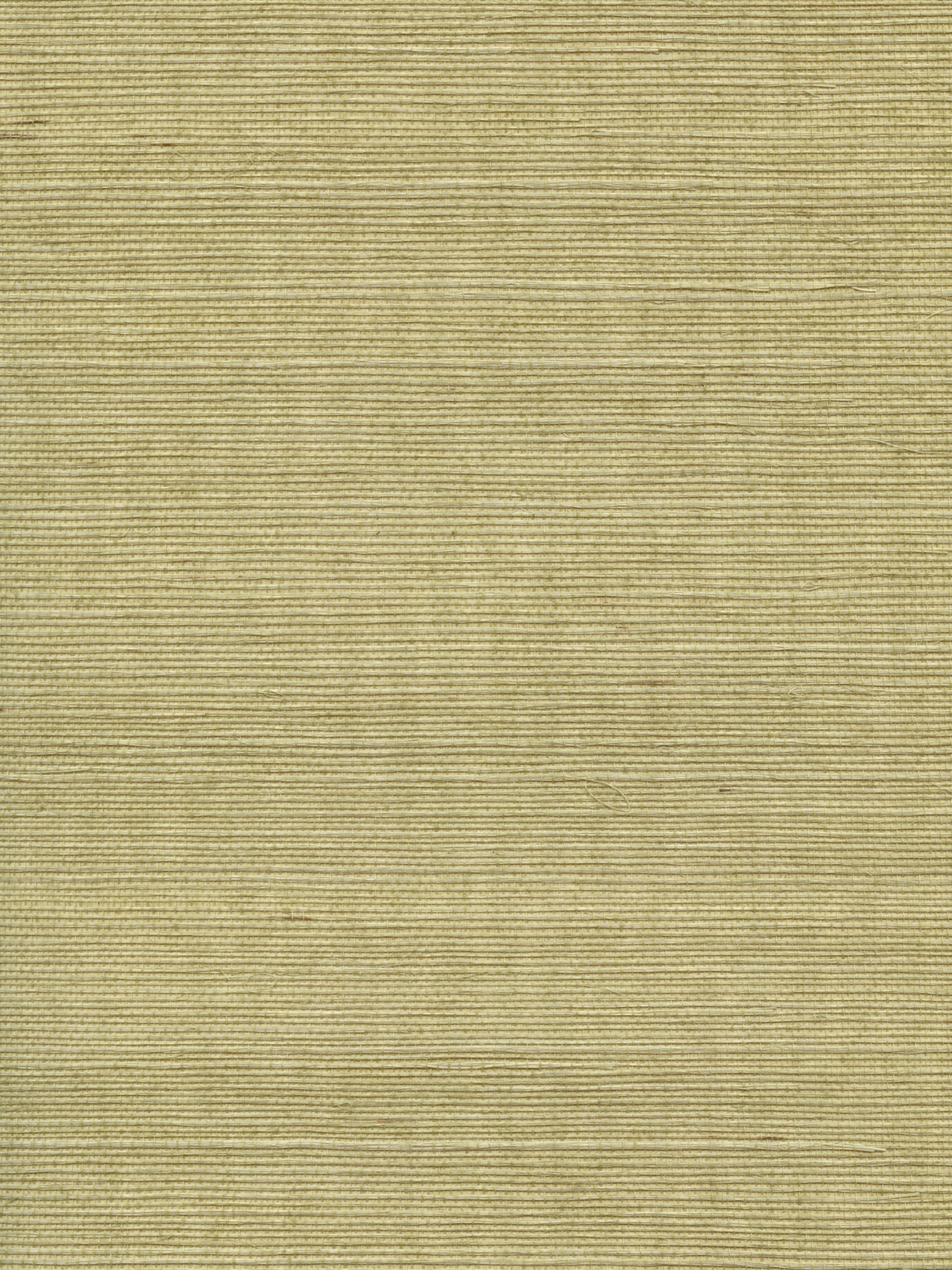 Organic Sisal wallpaper in springtime color - pattern number WTW GT3951 - by Scalamandre in the  collection