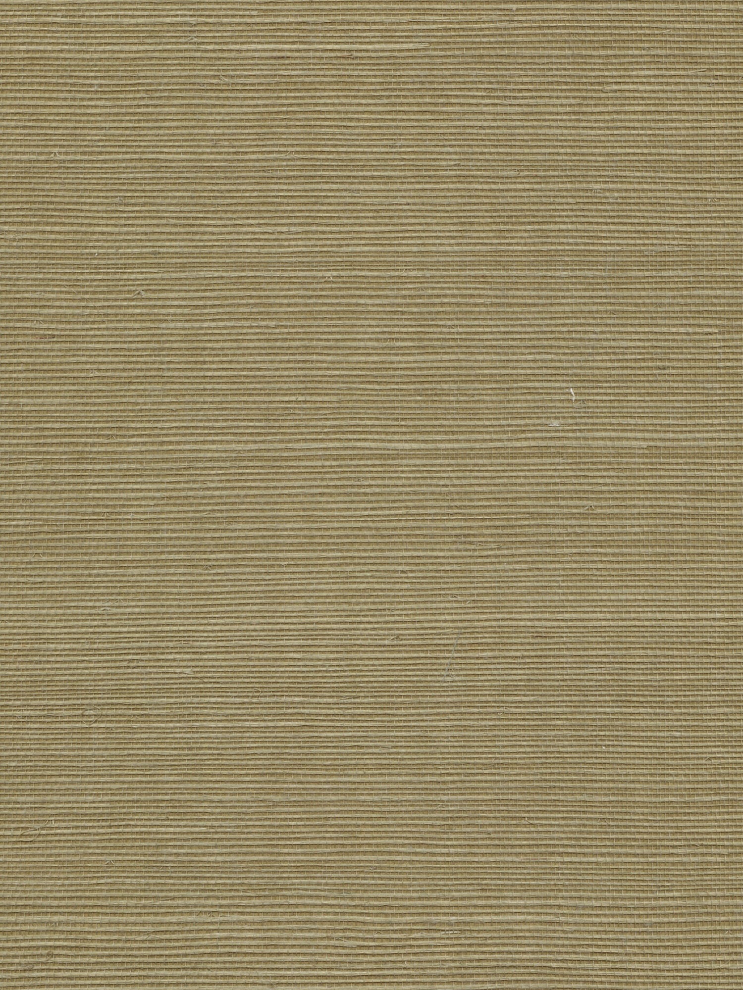 Organic Sisal wallpaper in ferndale color - pattern number WTW GT3954 - by Scalamandre in the  collection