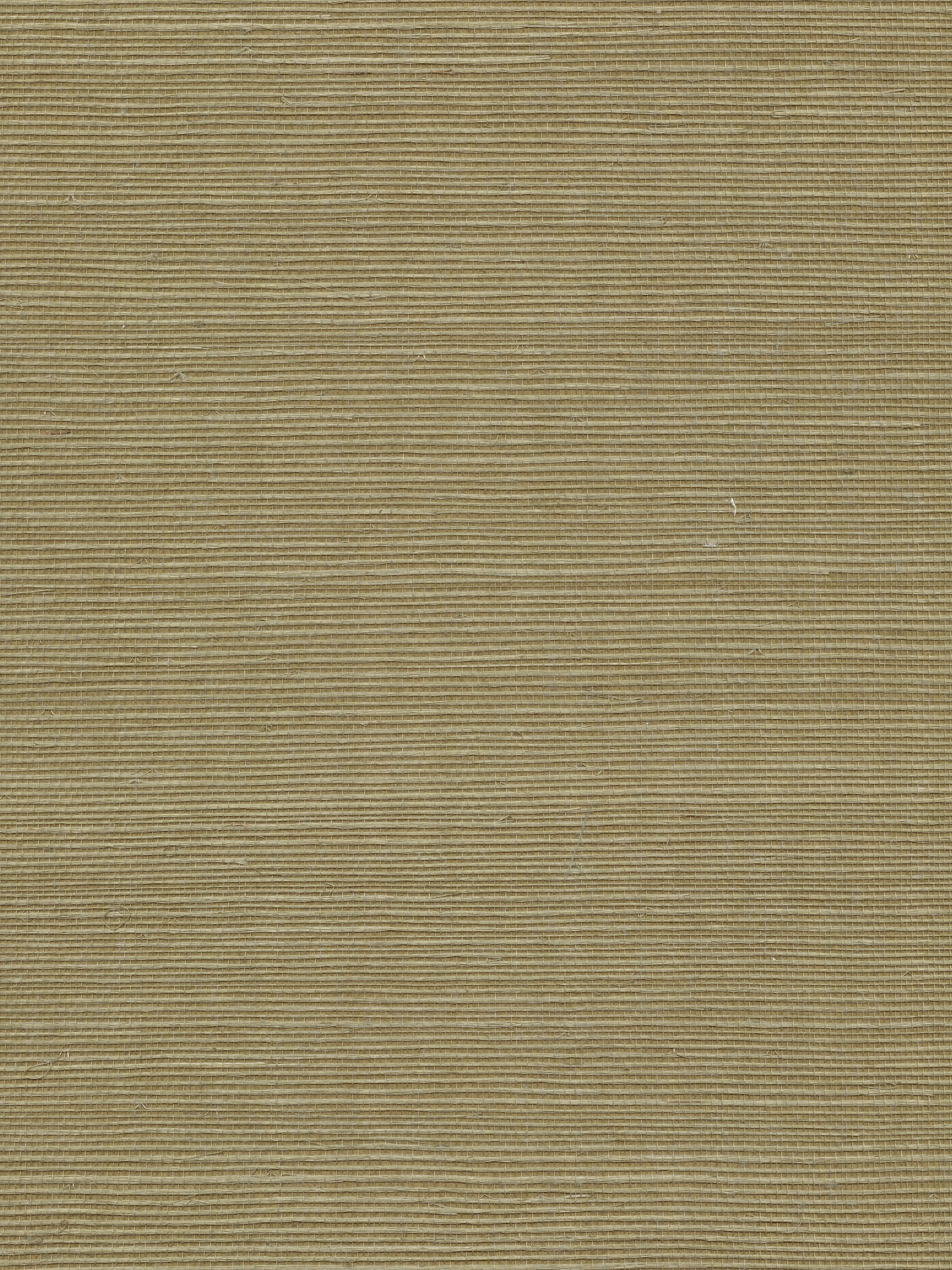 Organic Sisal wallpaper in ferndale color - pattern number WTW GT3954 - by Scalamandre in the  collection