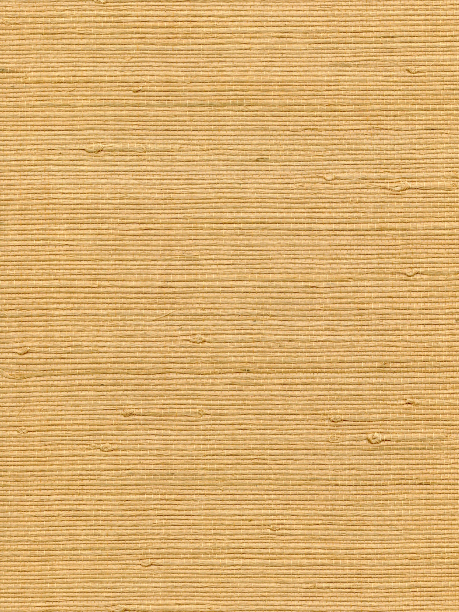 Organic Jute wallpaper in maize color - pattern number WTW GT3959 - by Scalamandre in the  collection