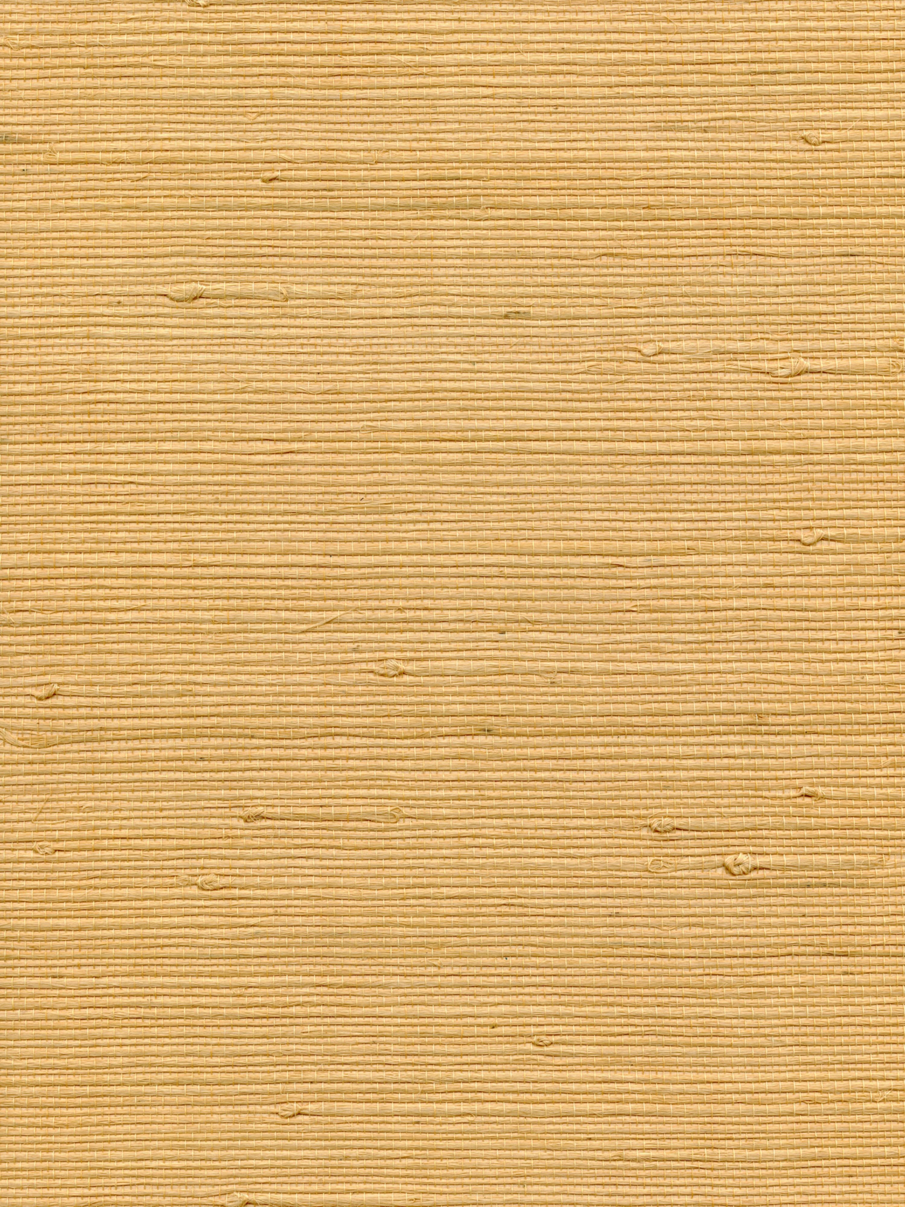 Organic Jute wallpaper in maize color - pattern number WTW GT3959 - by Scalamandre in the  collection