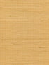 Organic Jute wallpaper in maize color - pattern number WTW GT3959 - by Scalamandre in the  collection