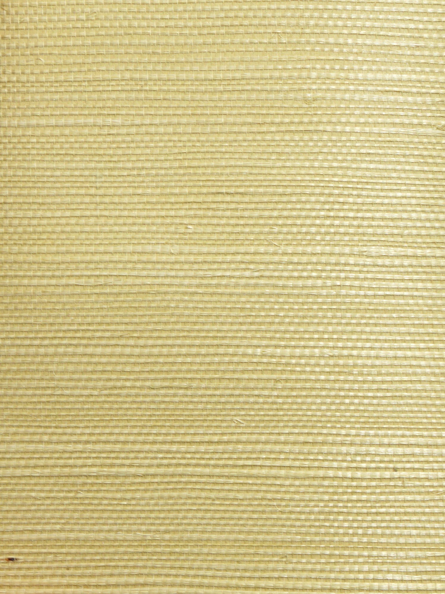Organic Sisal wallpaper in leaf color - pattern number WTW GT3964 - by Scalamandre in the  collection