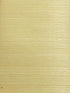 Organic Sisal wallpaper in leaf color - pattern number WTW GT3964 - by Scalamandre in the  collection