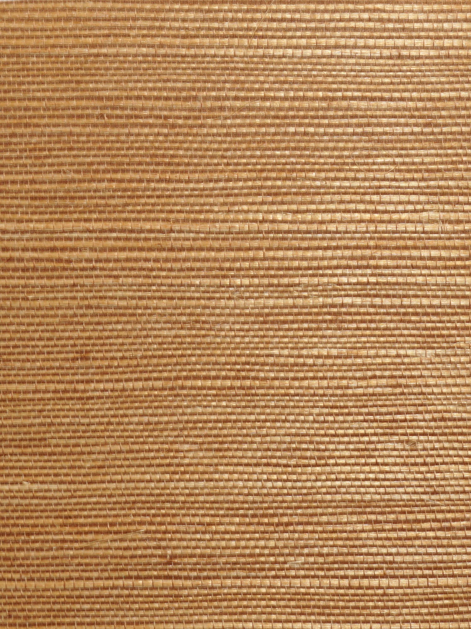 Organic Sisal wallpaper in cinnamon color - pattern number WTW GT3966 - by Scalamandre in the  collection