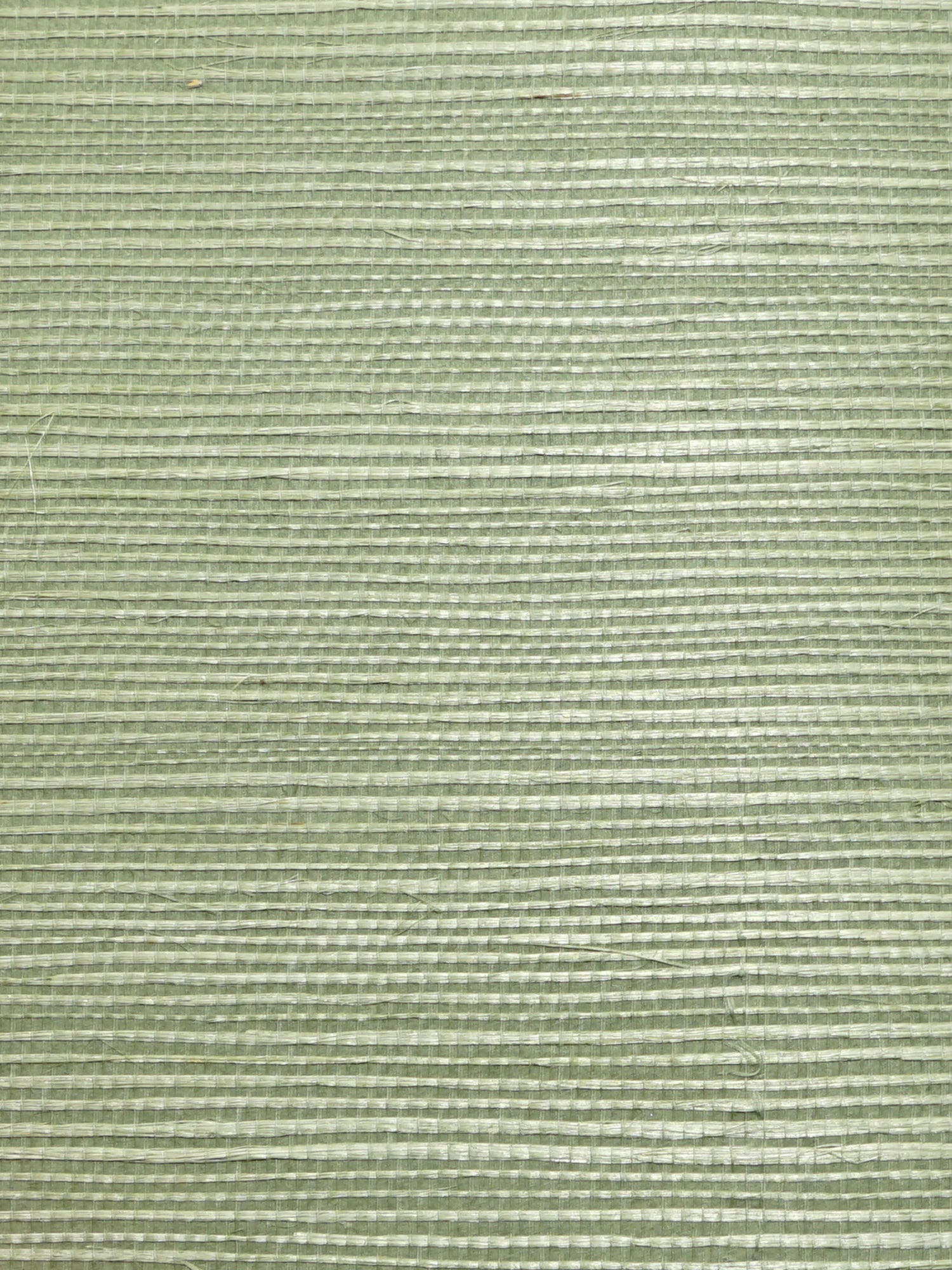 Organic Sisal wallpaper in sea glass color - pattern number WTW GT3969 - by Scalamandre in the  collection
