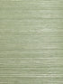 Organic Sisal wallpaper in sea glass color - pattern number WTW GT3969 - by Scalamandre in the  collection