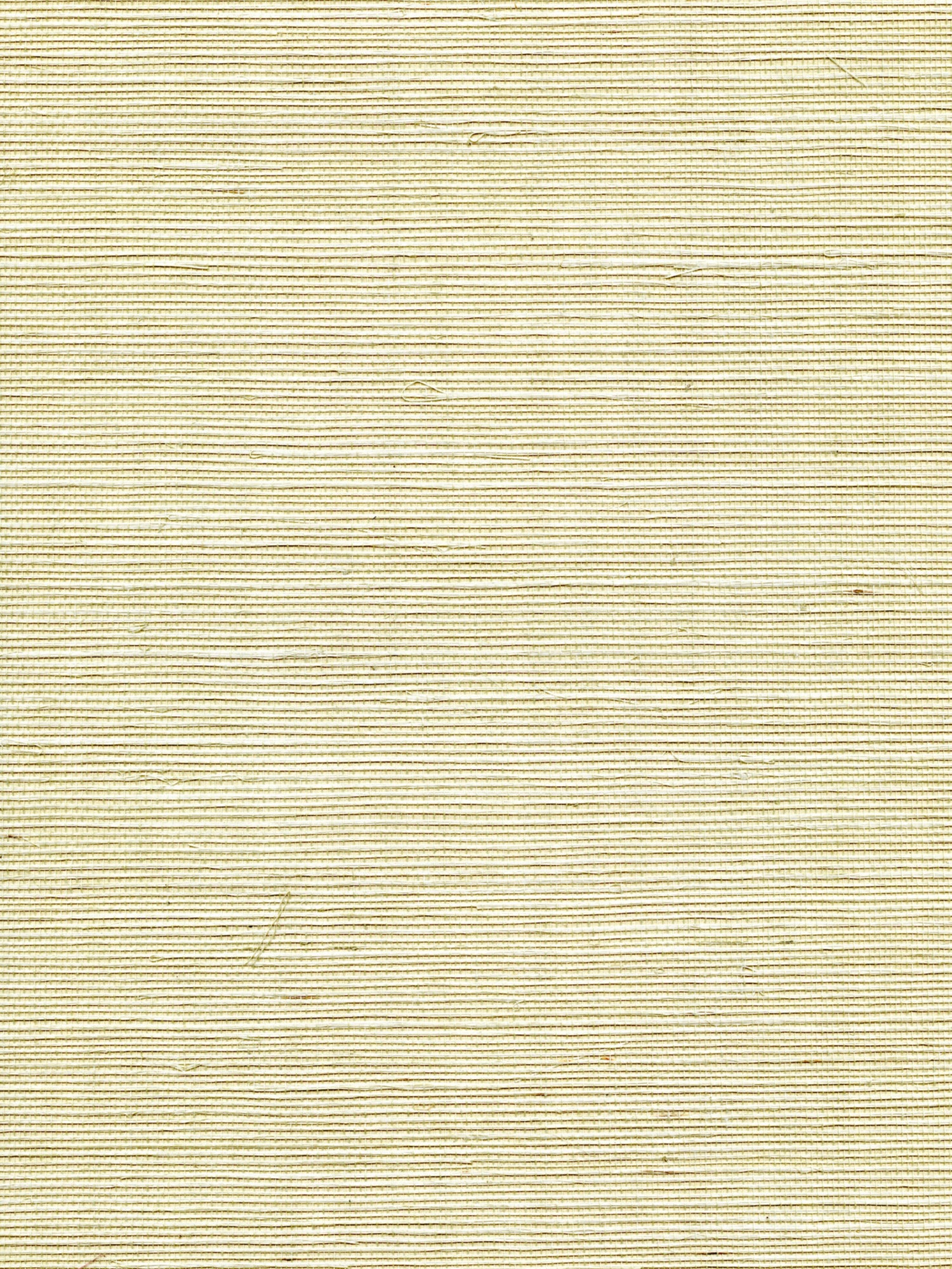 Organic Sisal wallpaper in sea spray color - pattern number WTW GT3977 - by Scalamandre in the  collection