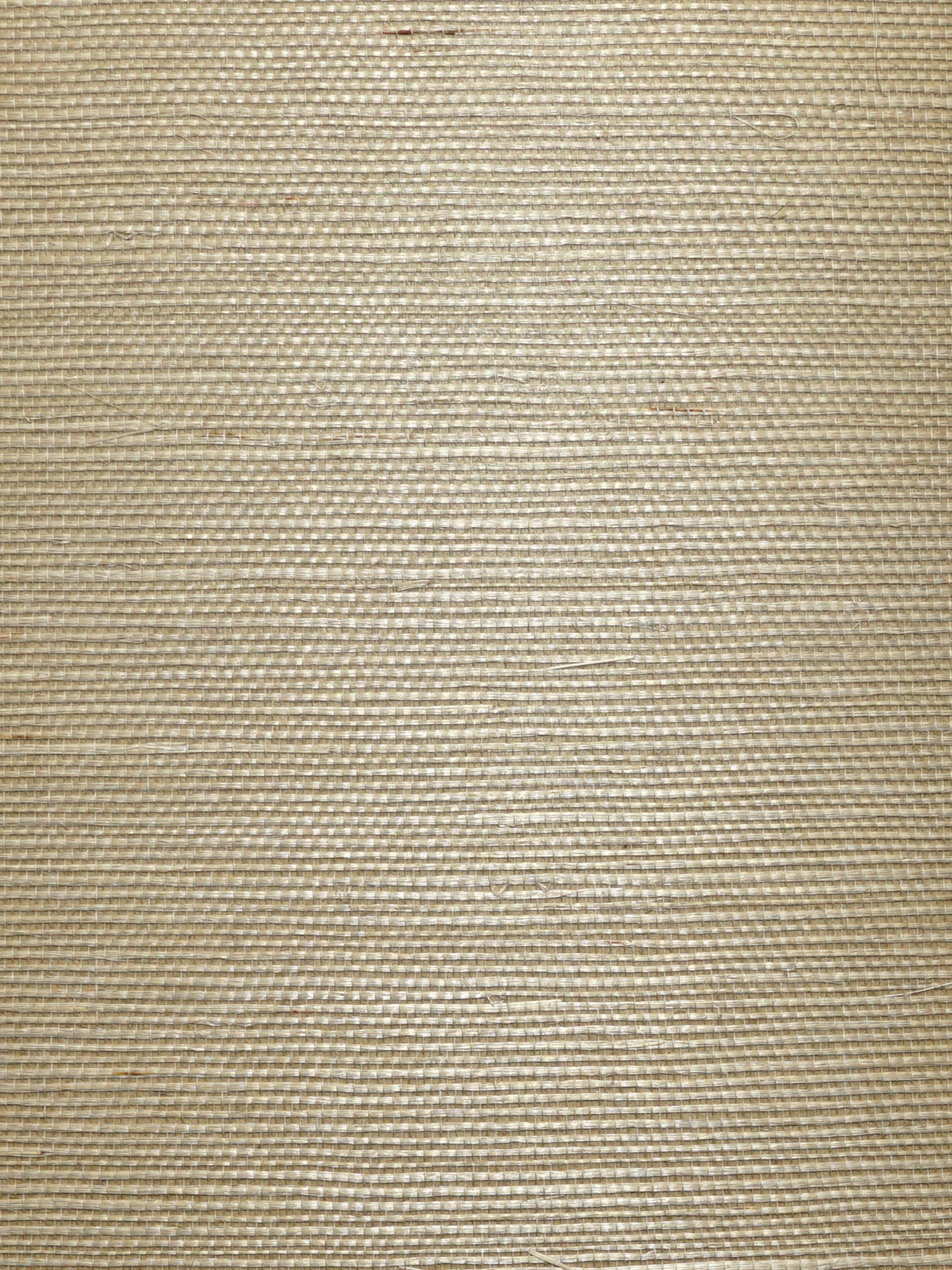 Organic Sisal wallpaper in cremini color - pattern number WTW GT3979 - by Scalamandre in the  collection