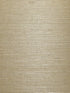 Organic Sisal wallpaper in cremini color - pattern number WTW GT3979 - by Scalamandre in the  collection