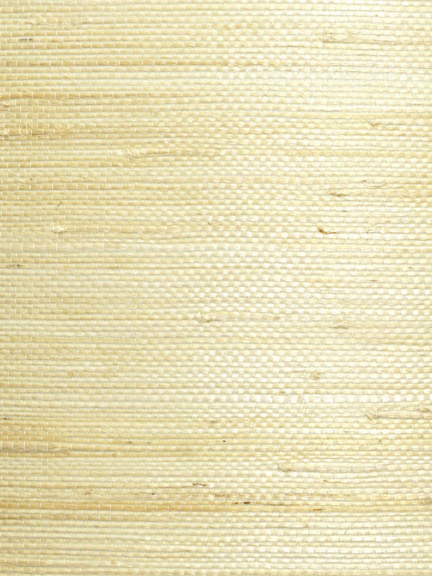 Natural Jute wallpaper in cotton color - pattern number WTW SG5635 - by Scalamandre in the  collection