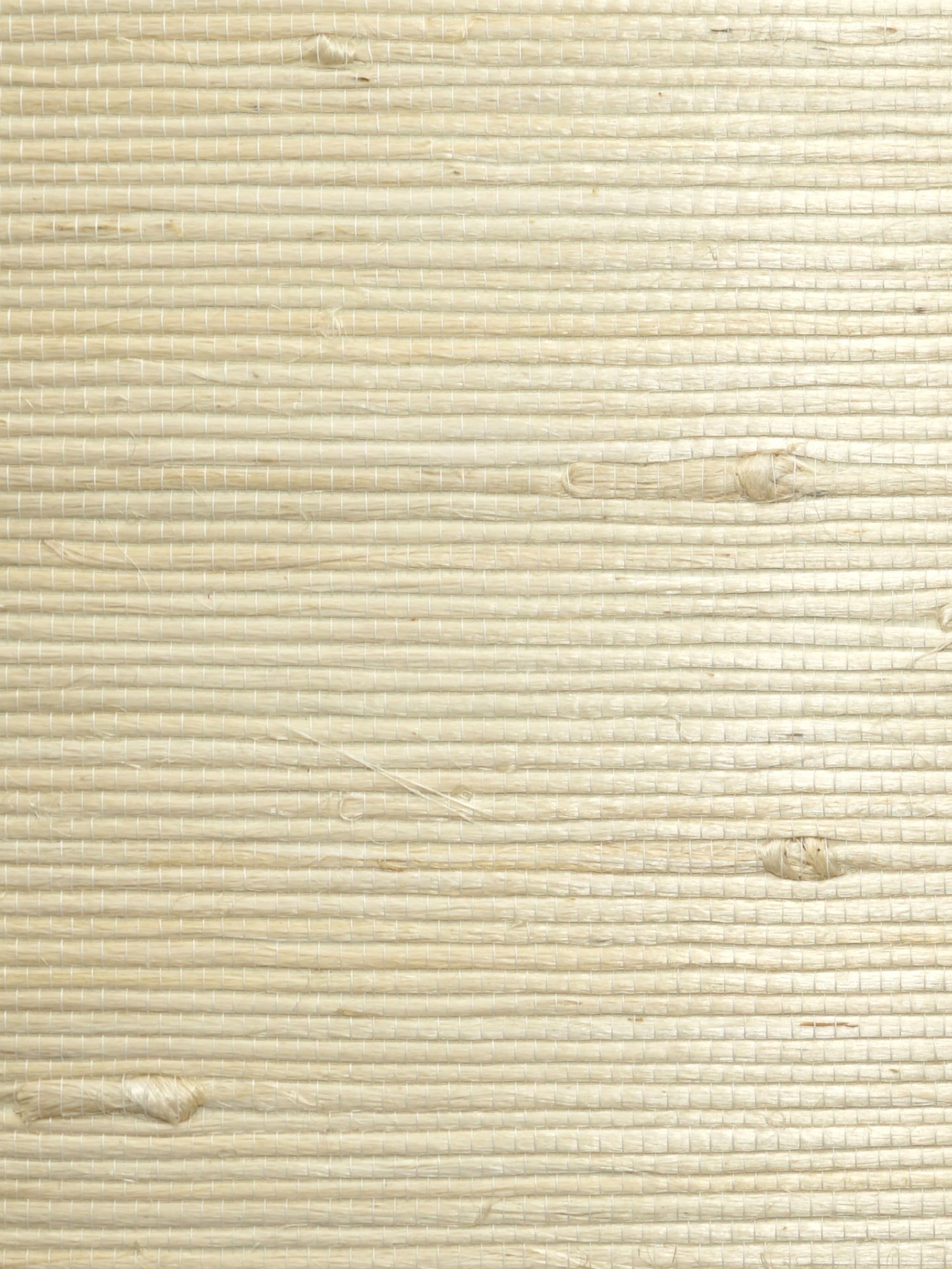 Natural Jute wallpaper in cotton in the raw color - pattern number WTW SG5636 - by Scalamandre in the  collection