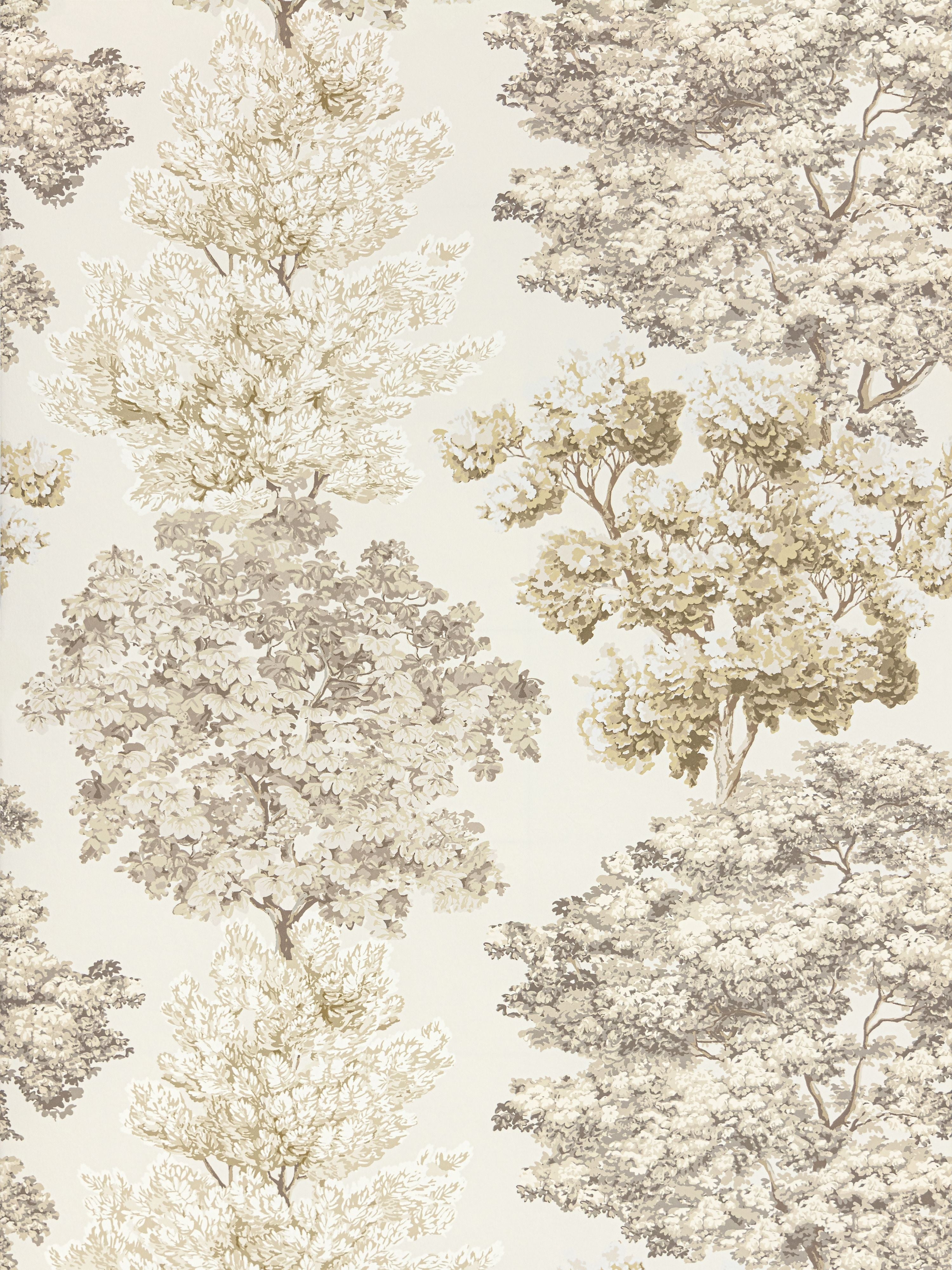 Central Park Wallpaper in Flax color - pattern number WW WP88583D0004 - by Scalamandre in the collection