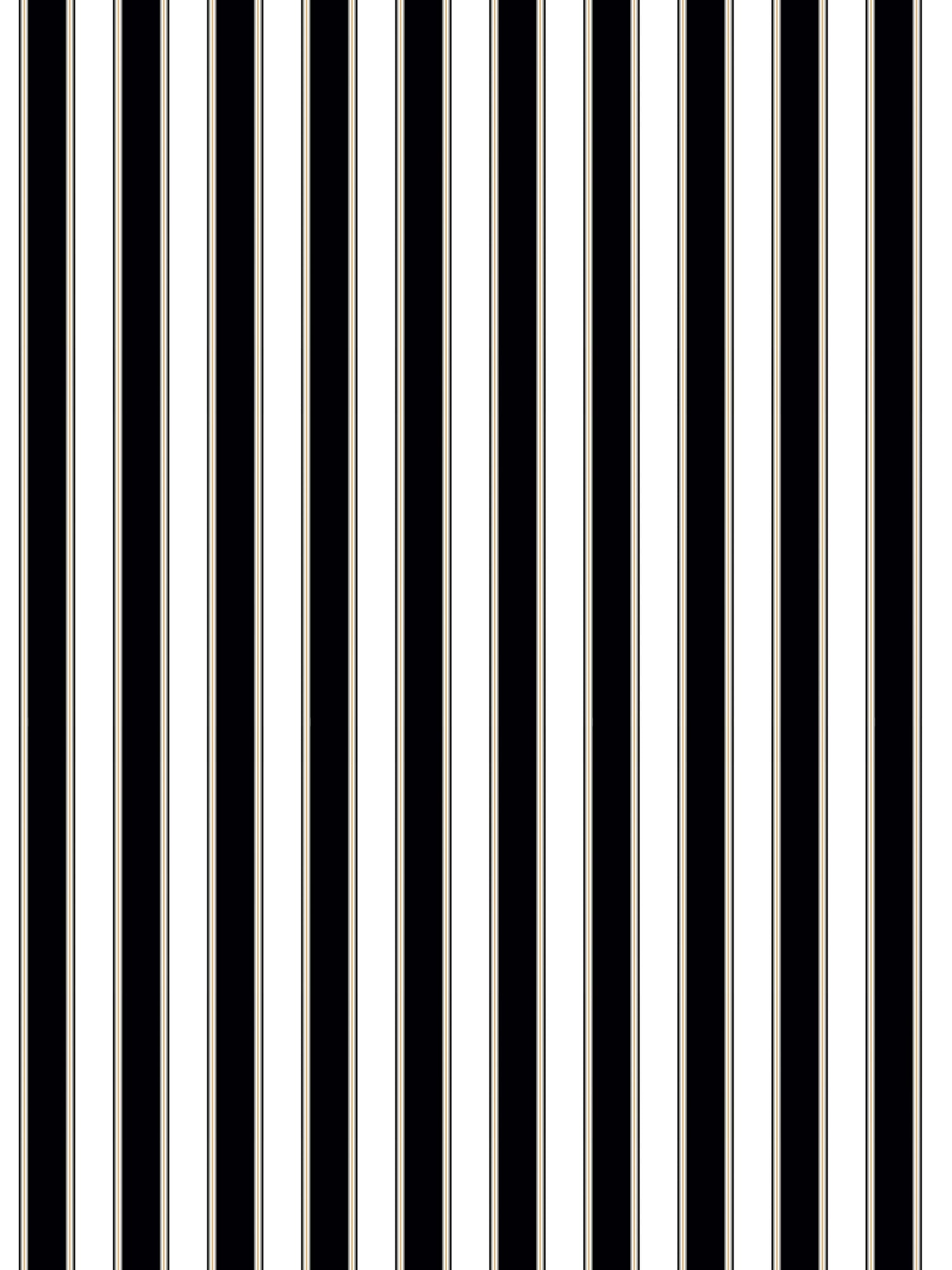 Piano Stripe wallpaper in ebony color - pattern number WW WP88608D0007 - by Scalamandre in the  collection