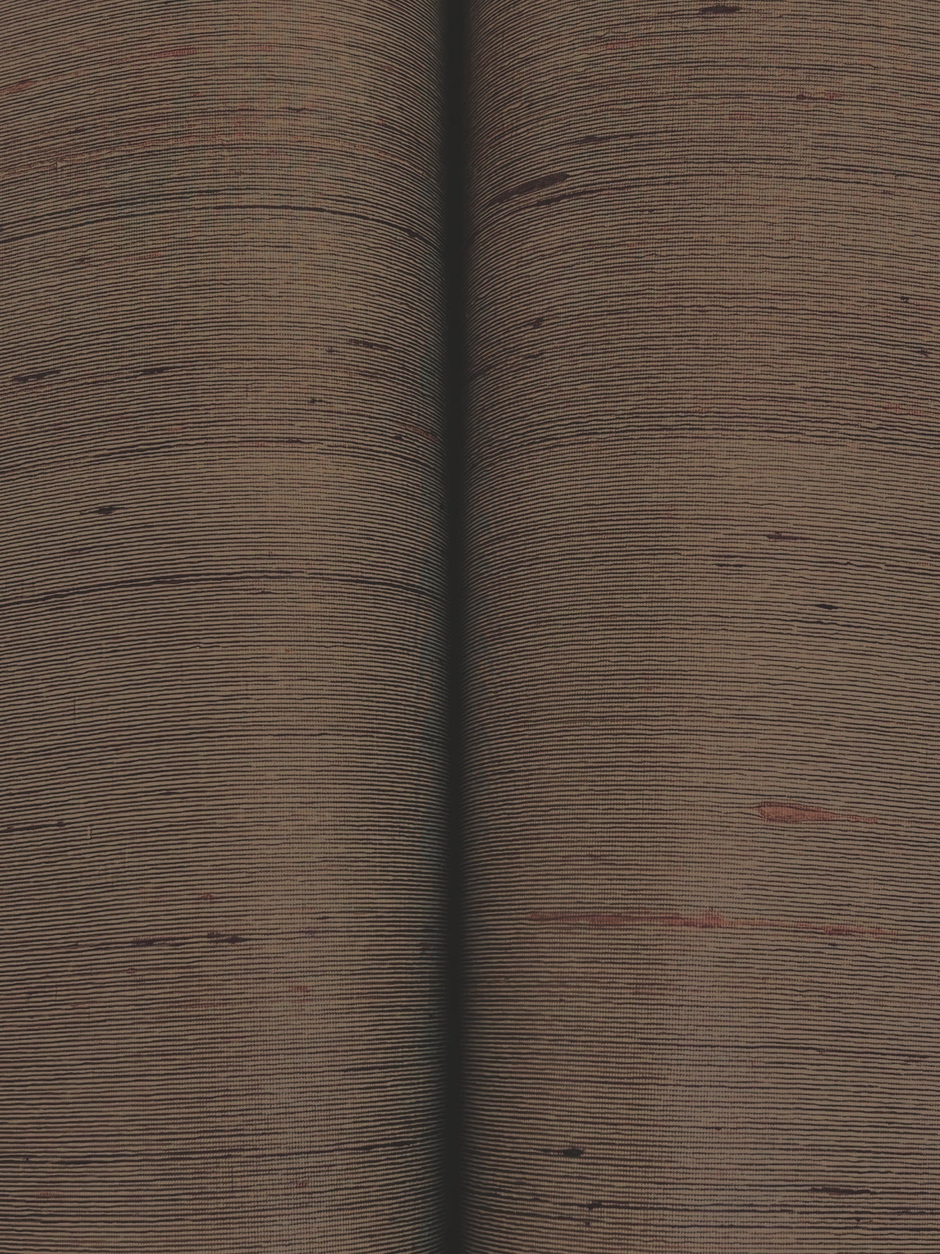 Silk Road wallpaper in spice color - pattern number YGL7026 - by Ronald Redding in the Natural Palette Resource collection