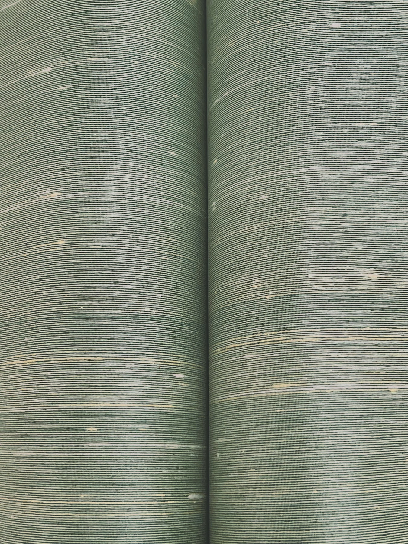 Silk Road wallpaper in verdigris color - pattern number YGL7031 - by Ronald Redding in the Natural Palette Resource collection