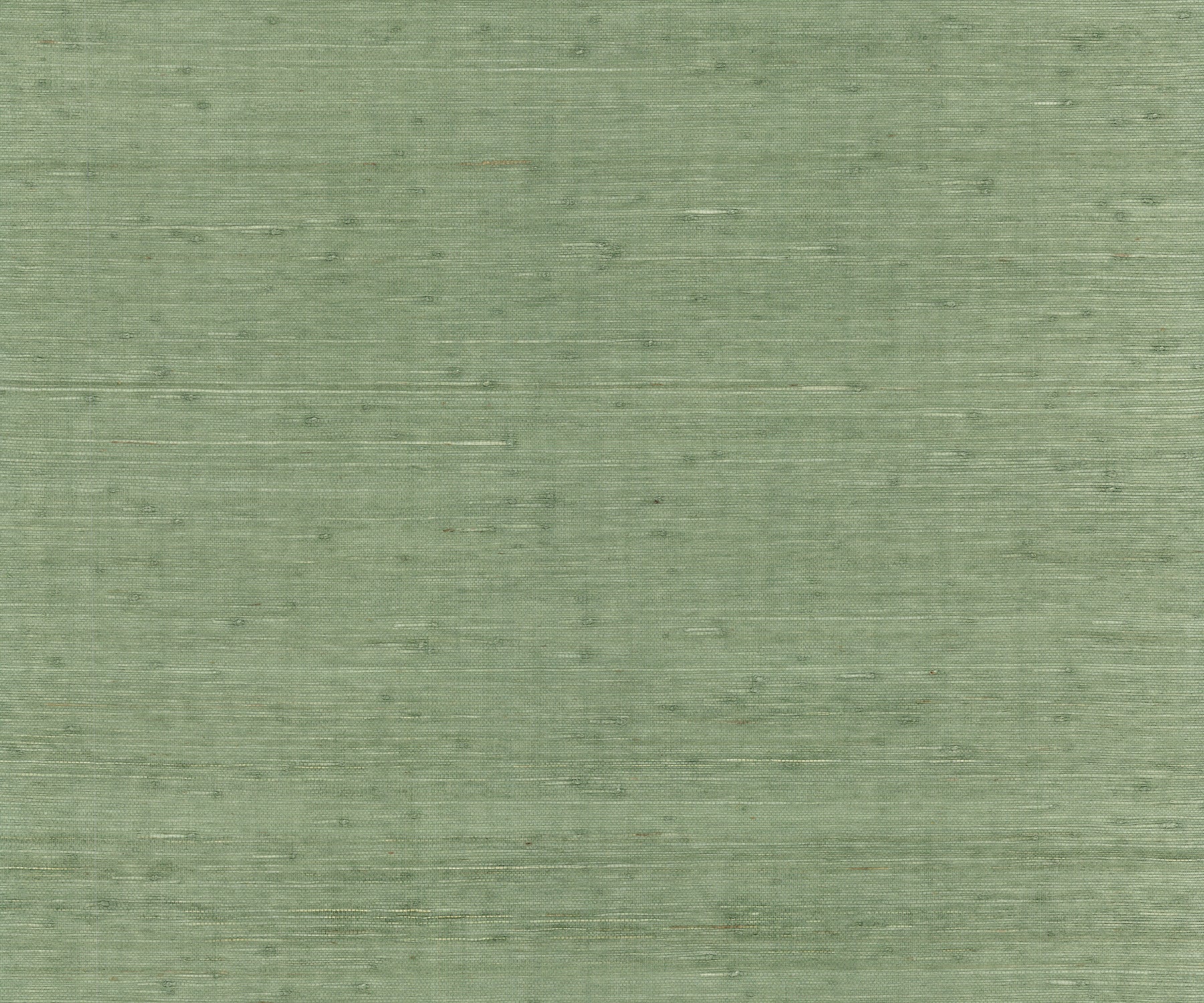 Horizontal Jute wallpaper in evergreen color - pattern number YGL7068 - by Ronald Redding in the Natural Palette Resource collection