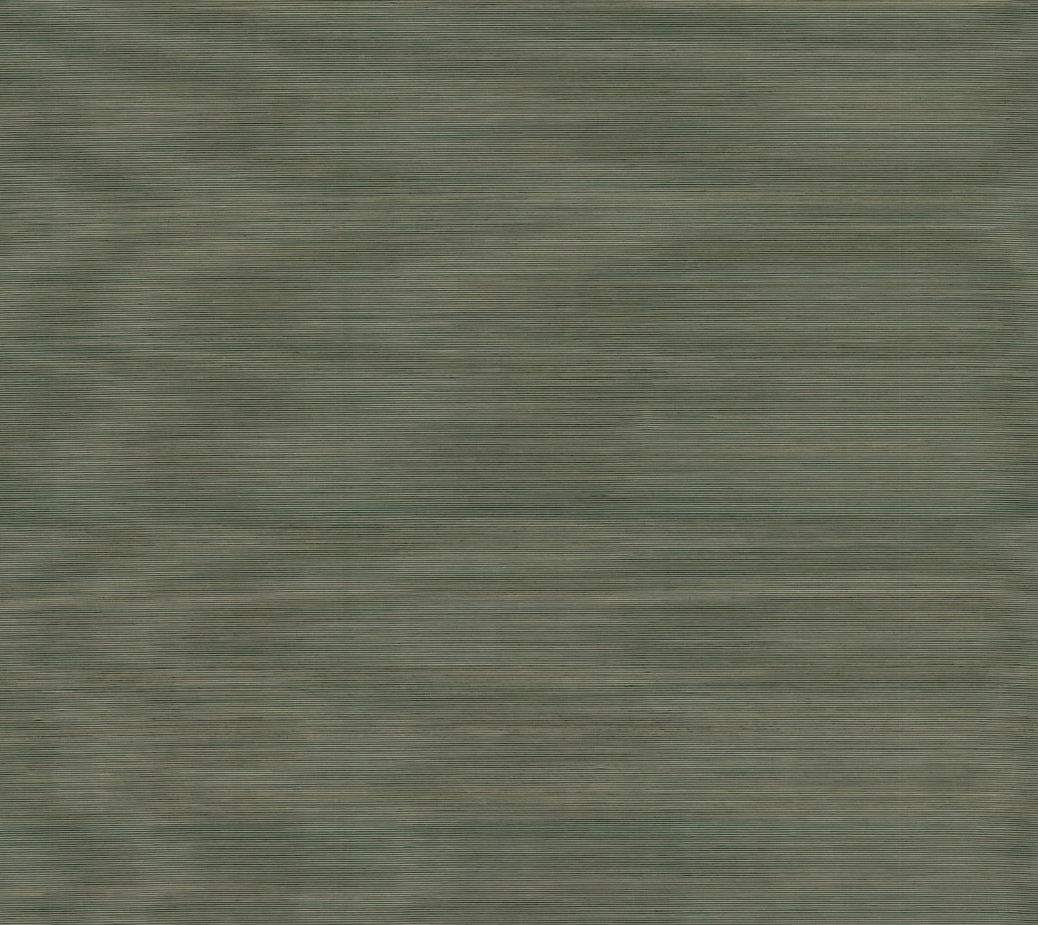 Smooth Abaca wallpaper in forest color - pattern number YGL7092 - by Ronald Redding in the Natural Palette Resource collection