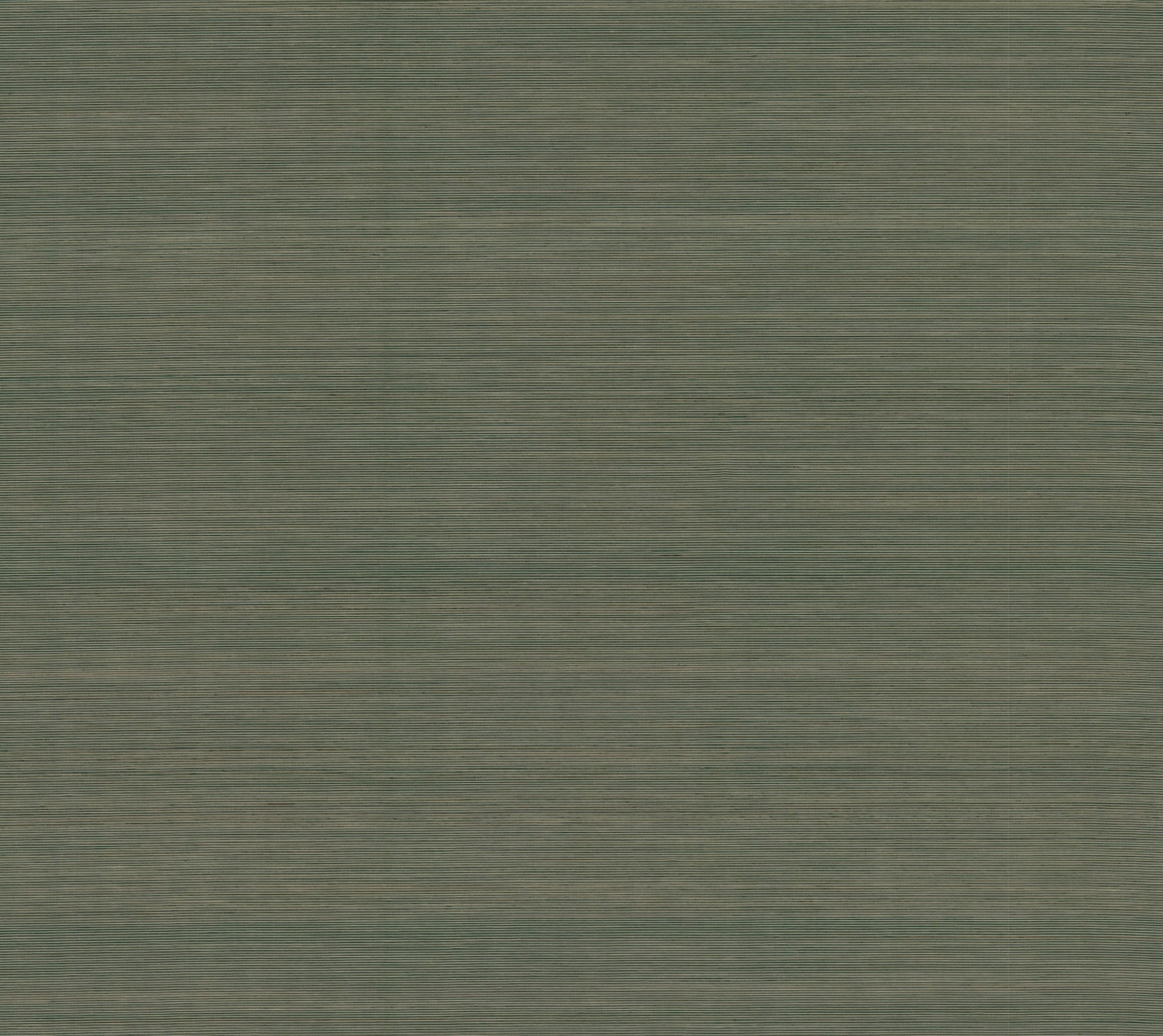 Smooth Abaca wallpaper in forest color - pattern number YGL7092 - by Ronald Redding in the Natural Palette Resource collection