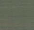Smooth Abaca wallpaper in forest color - pattern number YGL7092 - by Ronald Redding in the Natural Palette Resource collection