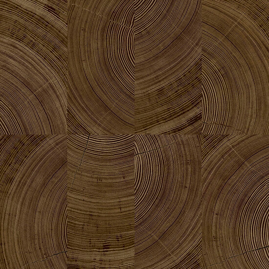 Photographic Motive Wallpaper in brown color - pattern number KRA69103 - by Grandeco in the Karuna collection