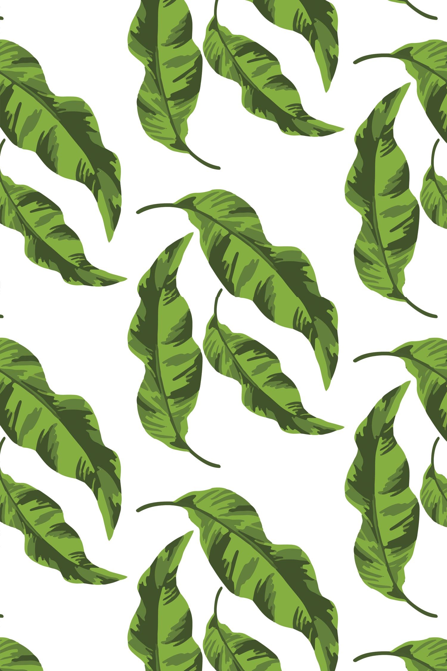 Banana Leaves Wallpaper in green color - pattern number KK17001_Green_KH300 - by Katie Kime in the  collection