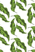 Banana Leaves Wallpaper in green color - pattern number KK17001_Green_KH300 - by Katie Kime in the  collection