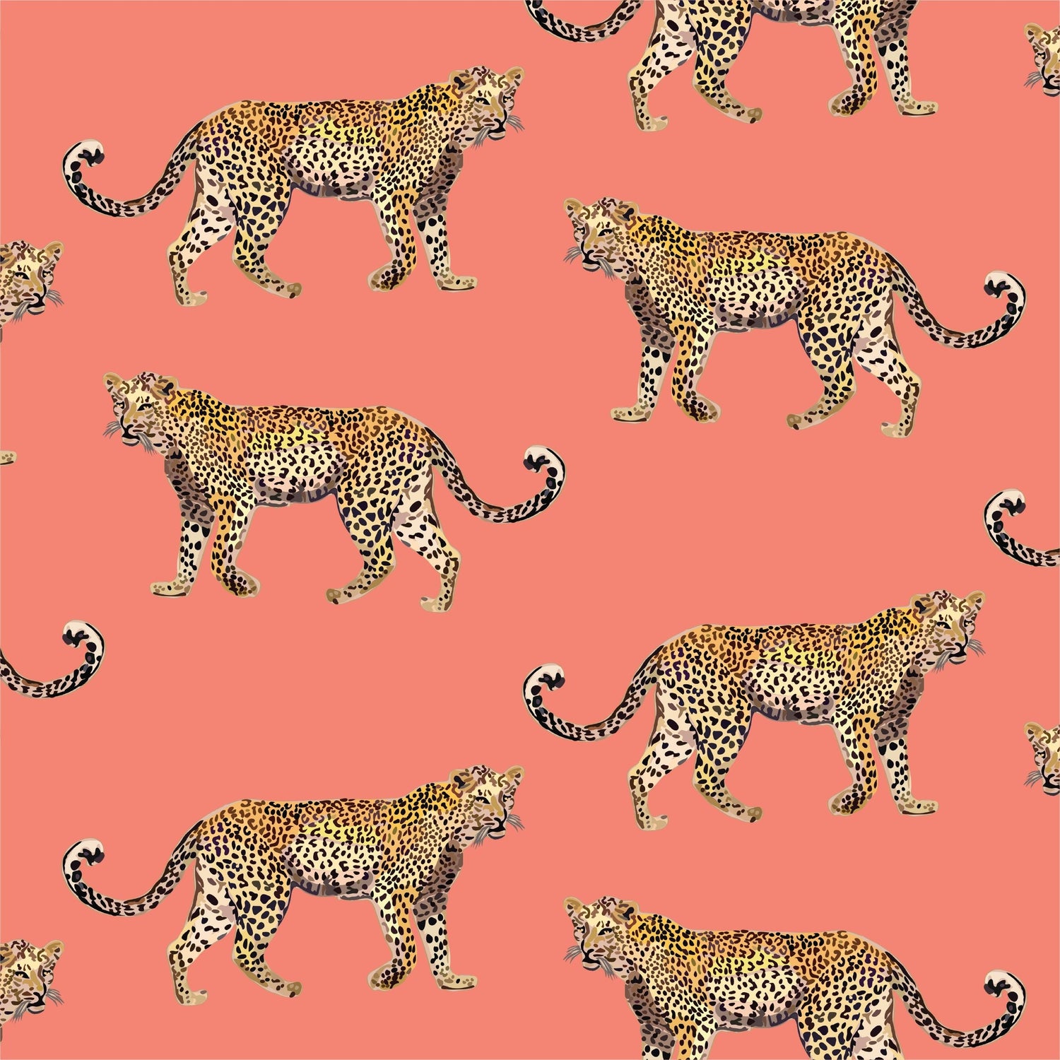 Cheetahs Peel and Stick Wallpaper in coral color - pattern number KK17076_Coral_KH306 - by Katie Kime in the  collection