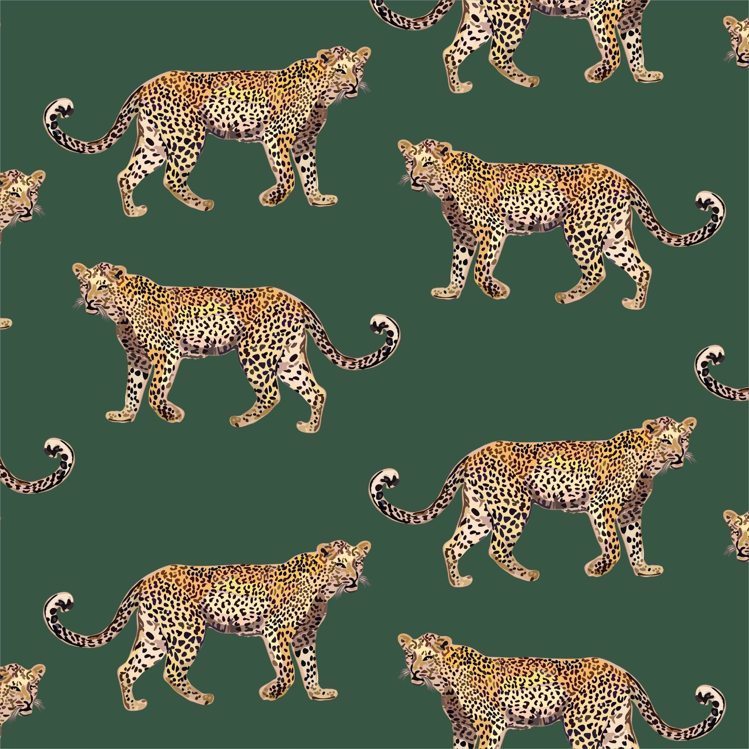Cheetahs Wallpaper in hunter green color - pattern number KK17076_Hunter_Green_KH300 - by Katie Kime in the  collection