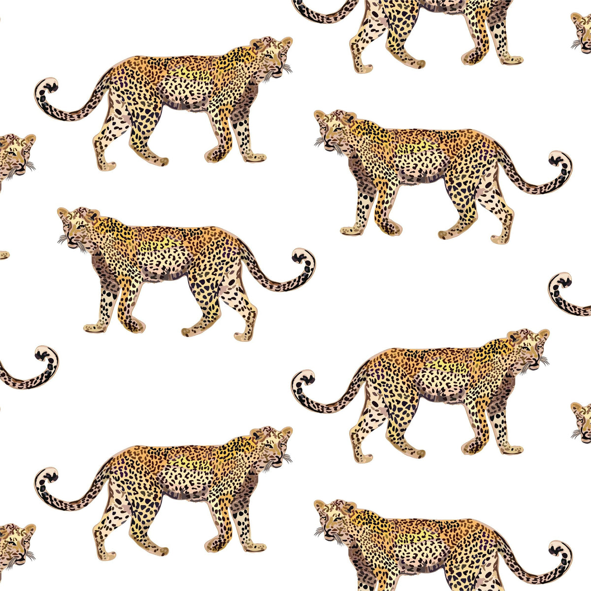Cheetahs Wallpaper in White color - pattern number KK17076_White_KH300 - by Katie Kime in the collection