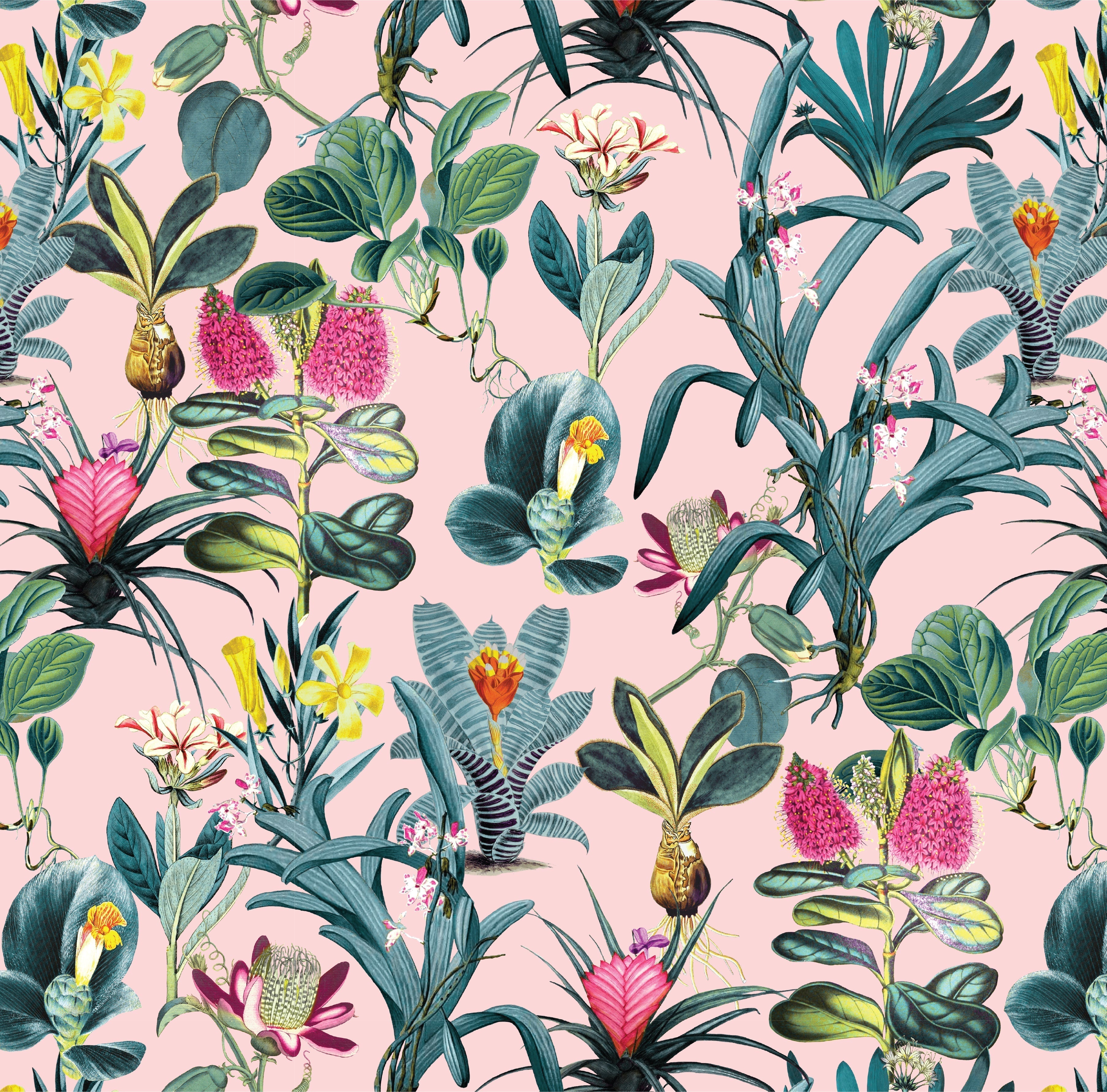 Lisse Wallpaper in Pink color - pattern number KK729_Pink_KH300 - by Katie Kime in the collection